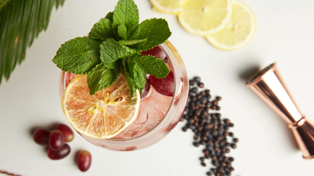 Pic of garnishes for a gin and tonic