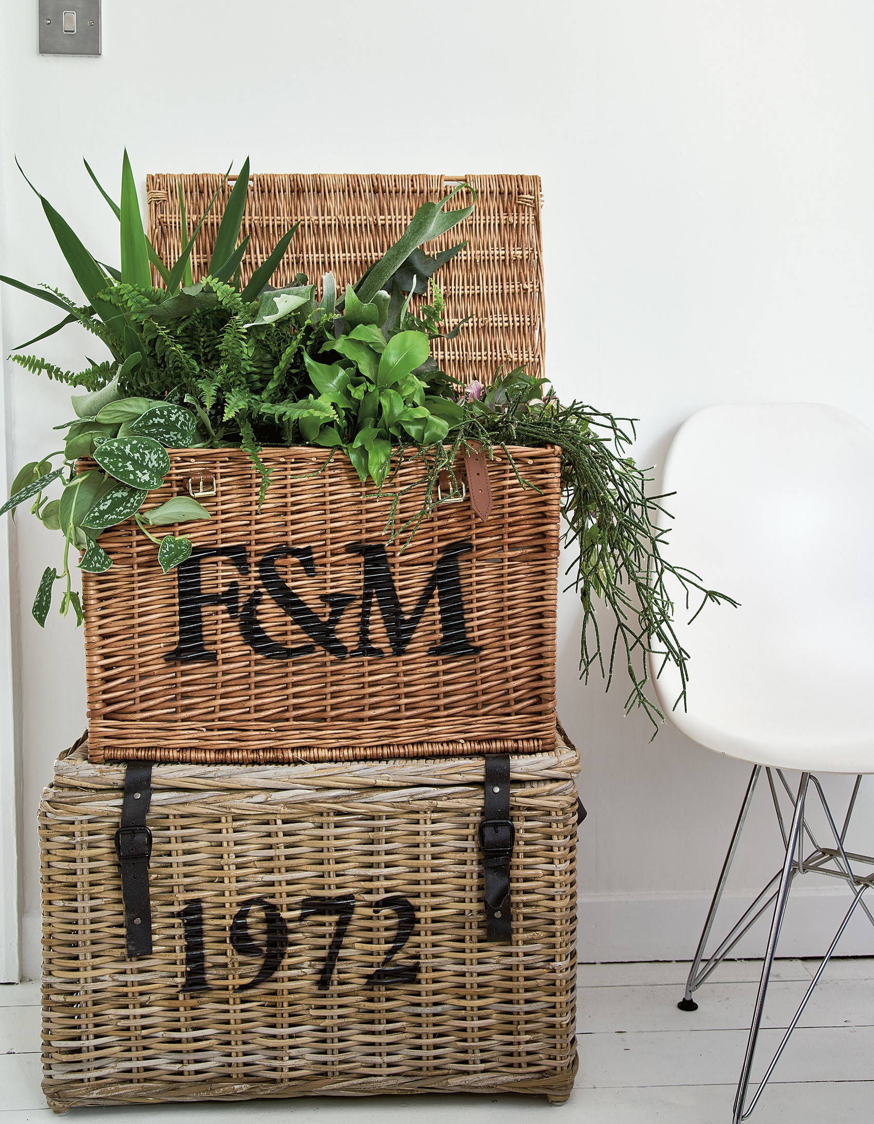 Vintage hampers used to display plants, including a heart-leaf philodrendron; ferns and chain cactus featured in At Home With Plants (Nick Pope/Mitchell Beazley/PA)