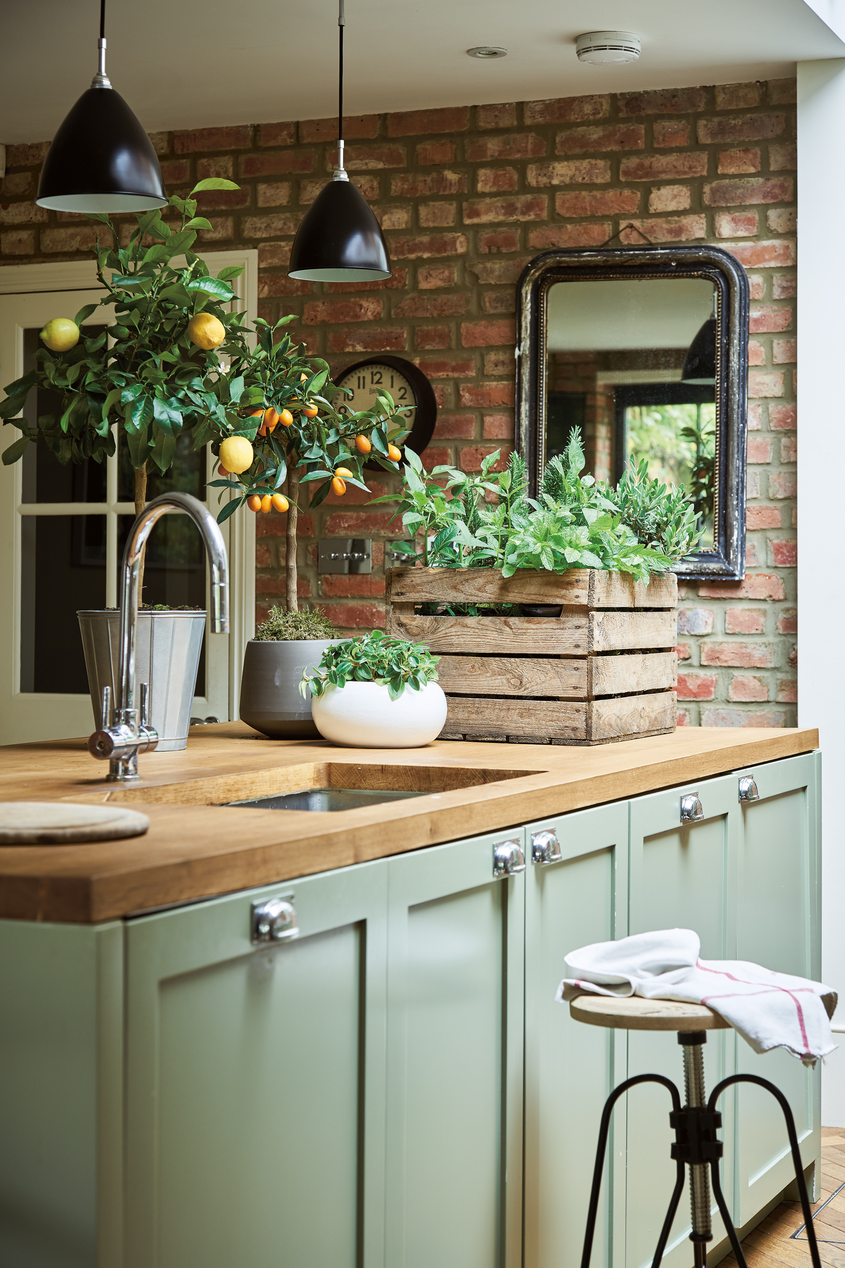 Create your own indoor kitchen garden with a selection of edible plants such as kumquat; calamondin orange; mixed herbs and chilli pepper. Room featured in At Home With Plants (Nick Pope/Mitchell Beazley/PA)