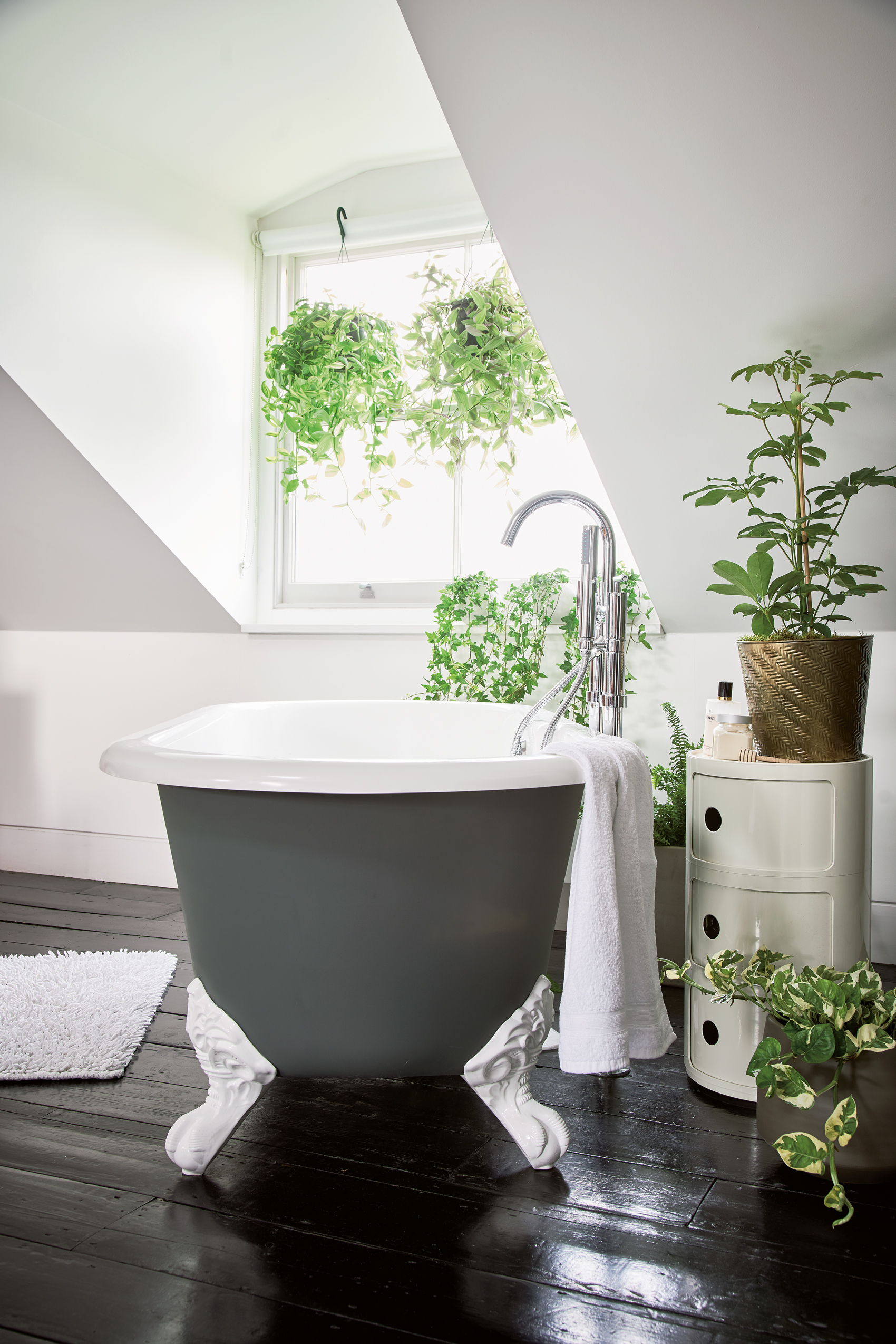 Humidity loving plants displayed in a bathroom