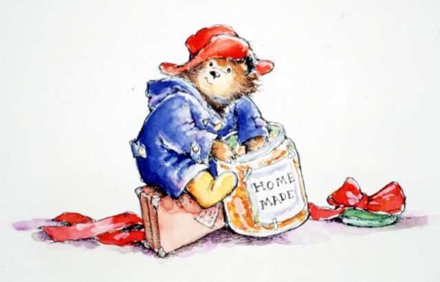 Paddington Bear