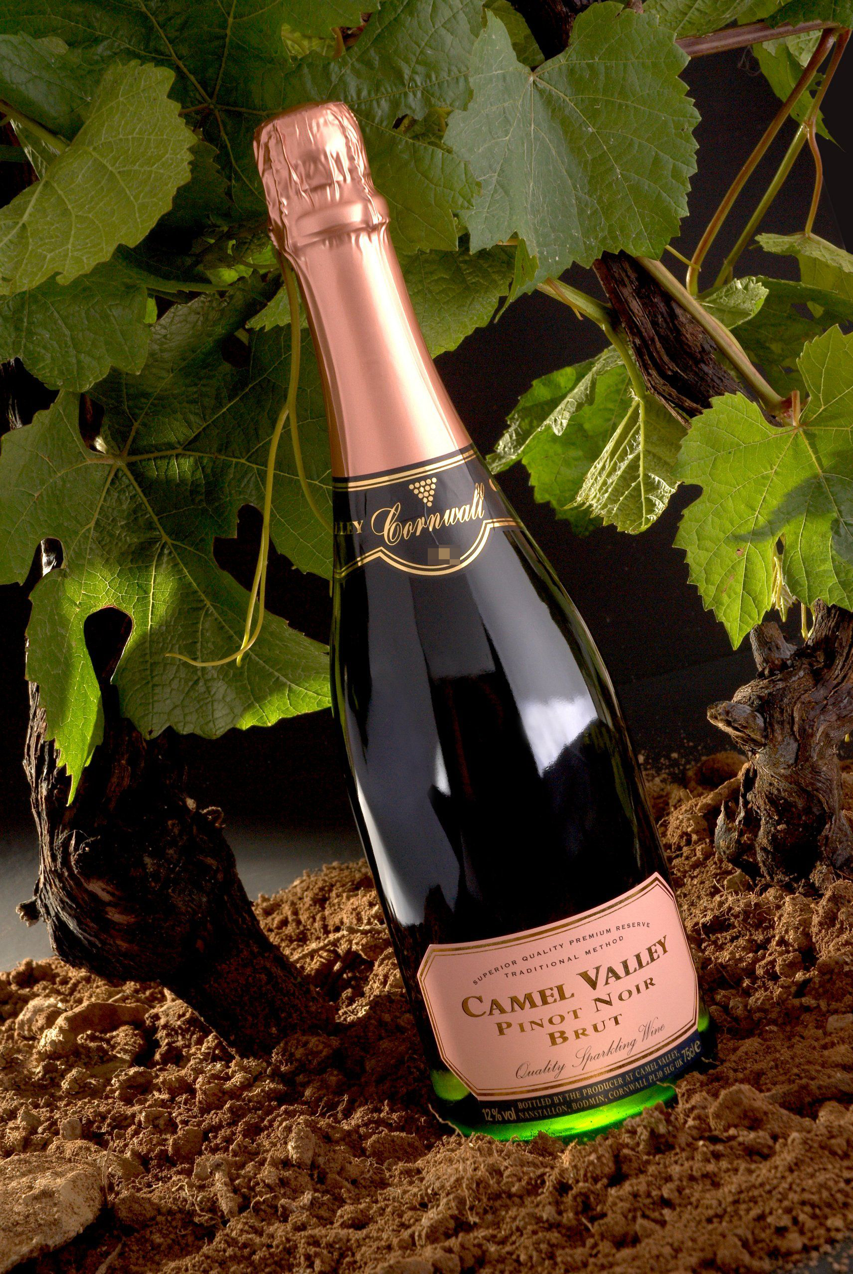 Camel Valley Rose Brut English Sparkling Wine