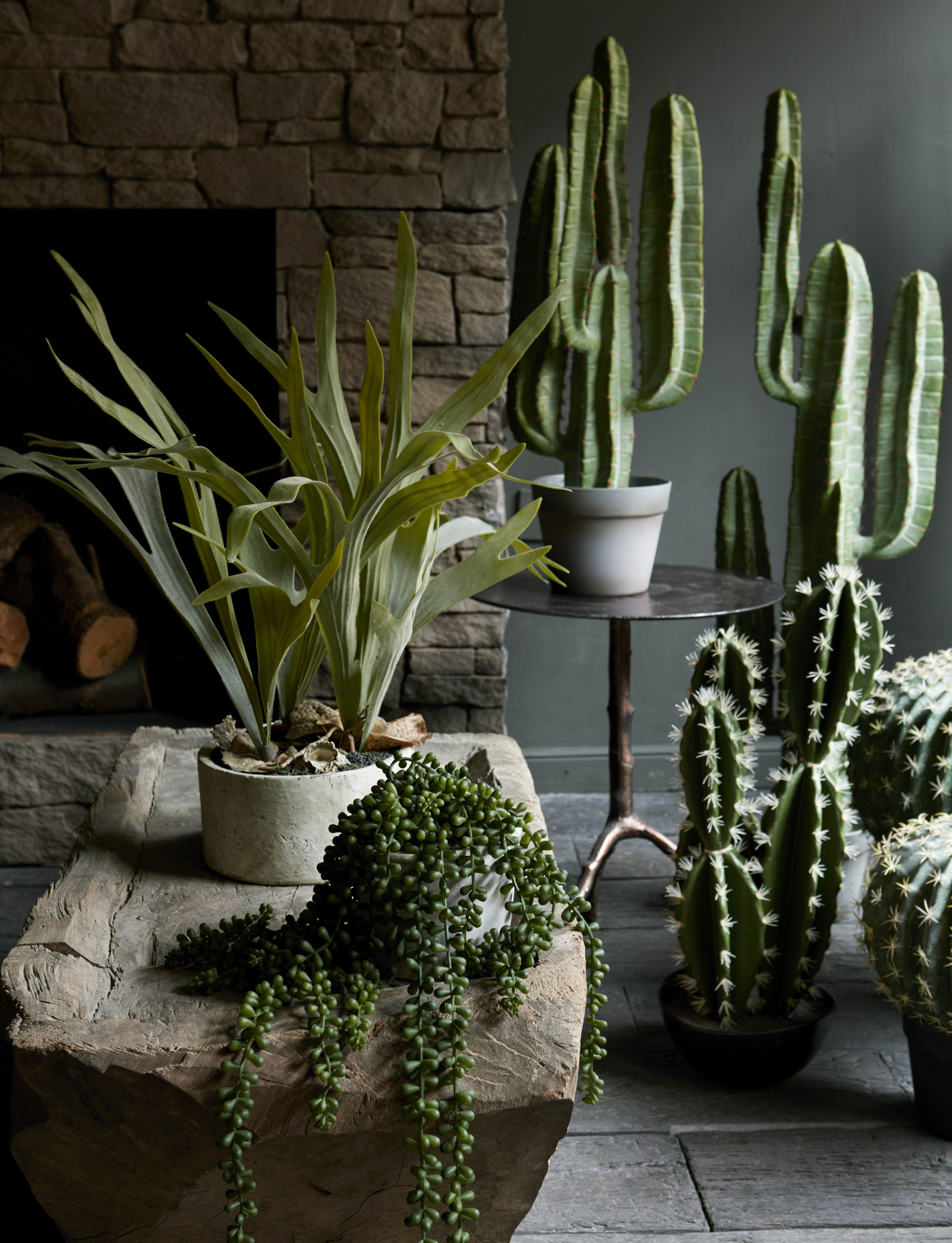 Cactus cool: (Clockwise from left) Staghorn Plant, £70; Small Yuha Cactus, £85; String of Pearls Succulent, currently reduced to £36 from £45, and Sinai Cactus, currently reduced to £52 from £65, all Abigail Ahern/EDITION at Debenhams (Abigail Ahern/Debenhams/PA)