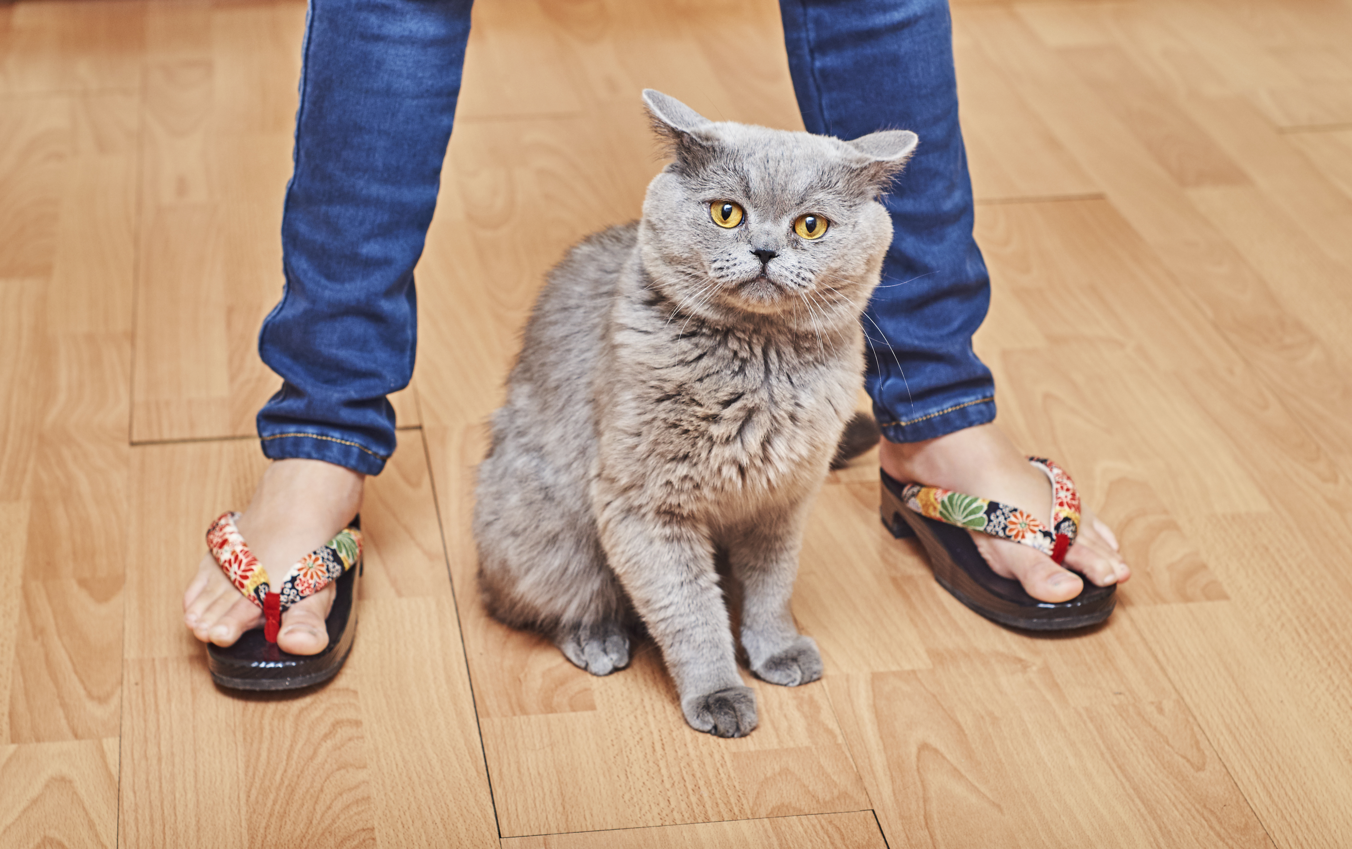 Generic photo of a young woman in flip-flops standing with a cat (Thinkstock/PA)