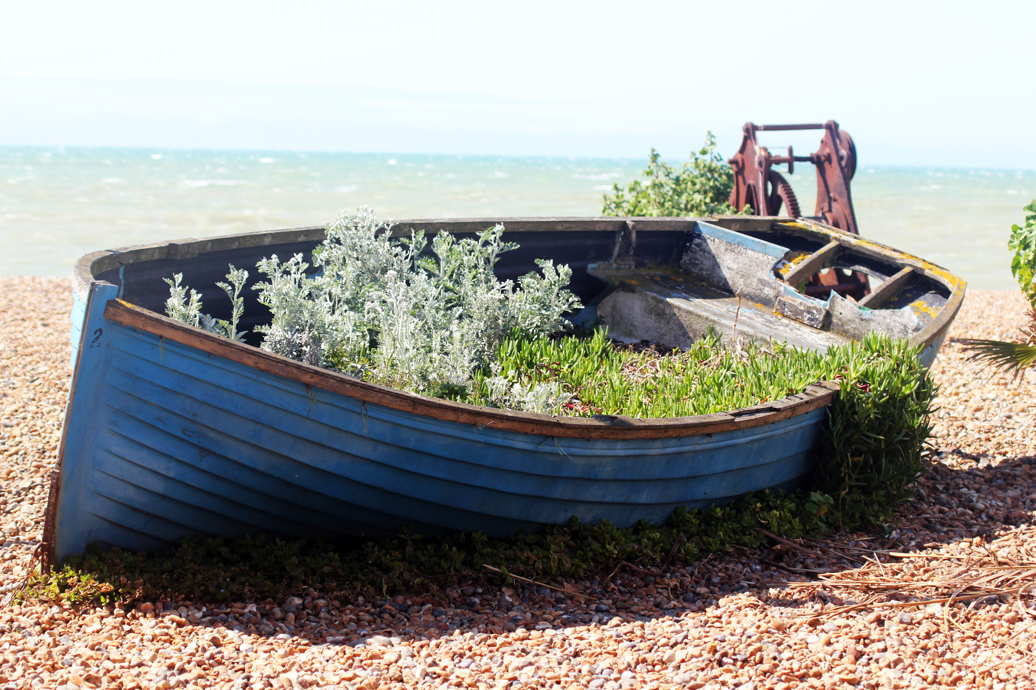 Garden in a boat. (Thinkstock/PA)