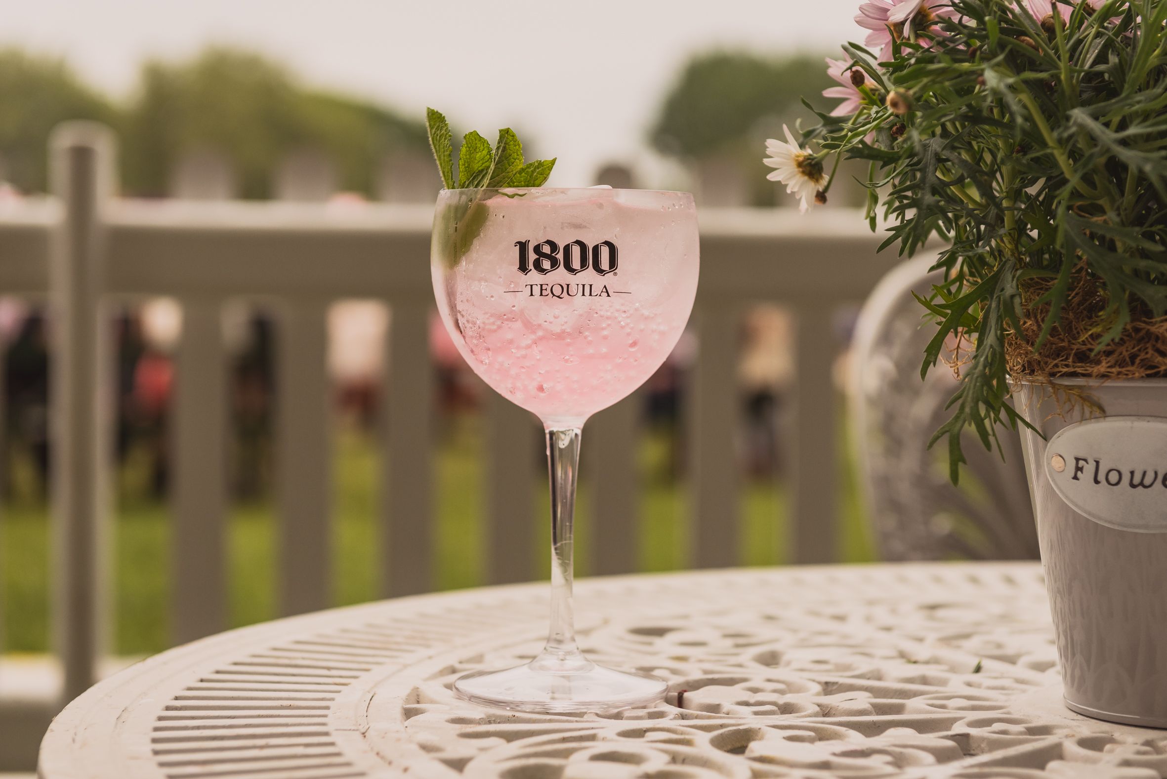 1800 Blush (1800 Silver Tequila/PA)