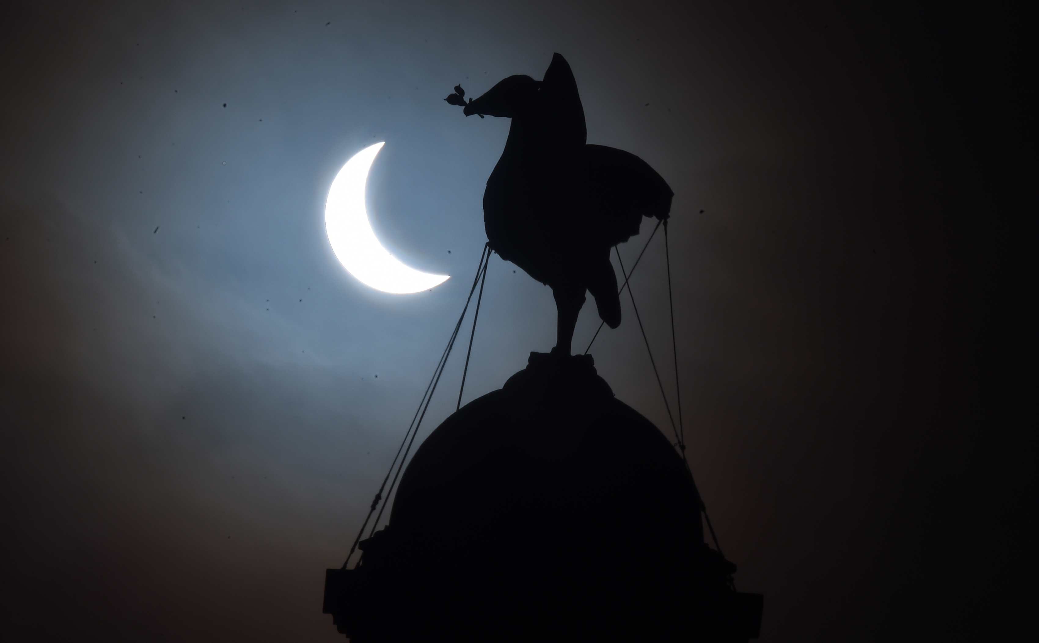 Solar eclipse.
