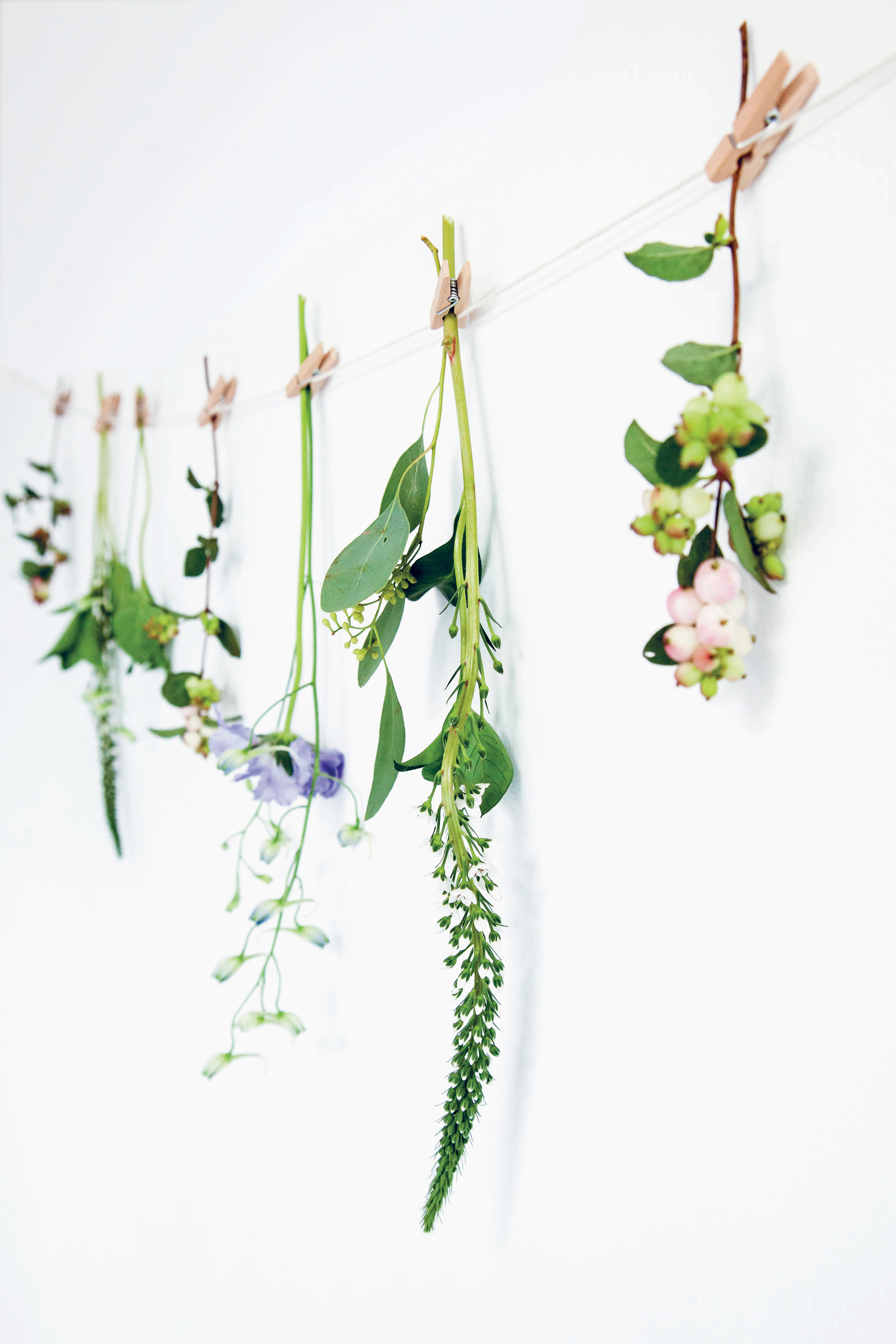 A line of cotton string tacked on a wall is hung with small sprigs of leaves, flowers, berries and pods attached by miniature clothes pegs (Decorate For A Party/Jacqui Small/PA)
