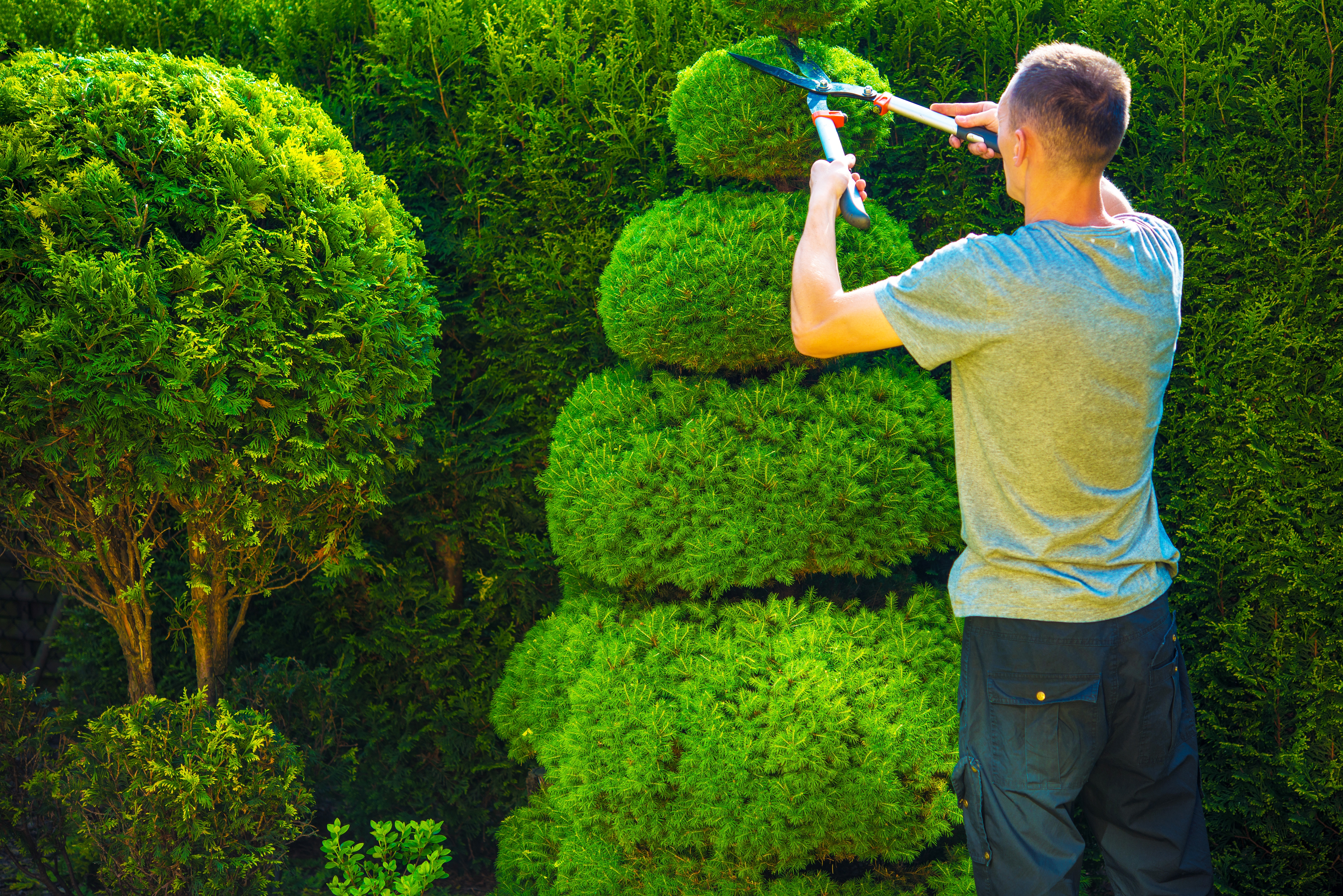 Trim to keep it in shape (Thinkstock/PA)