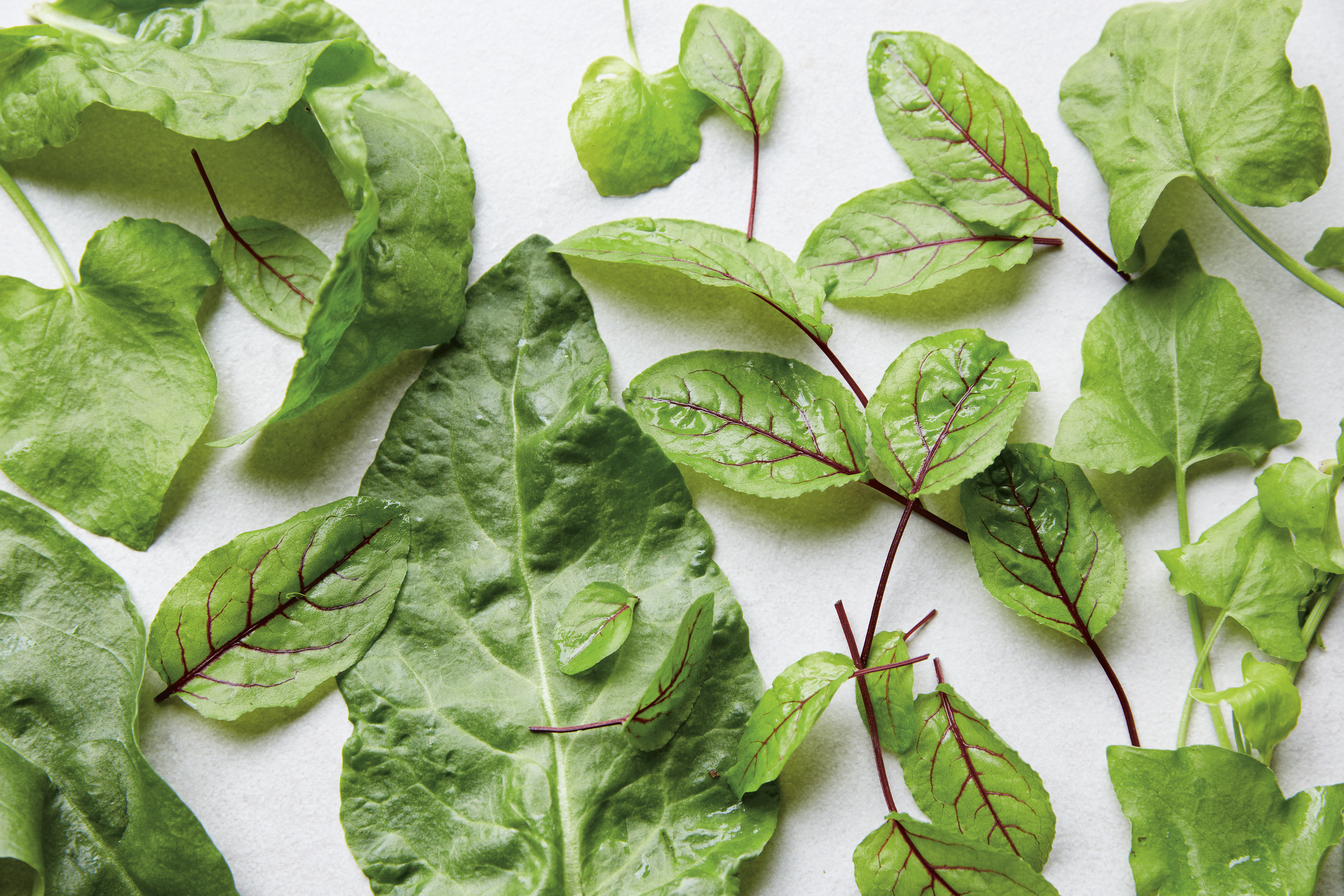Sorrel (Tamin Jones/Nourish/PA)