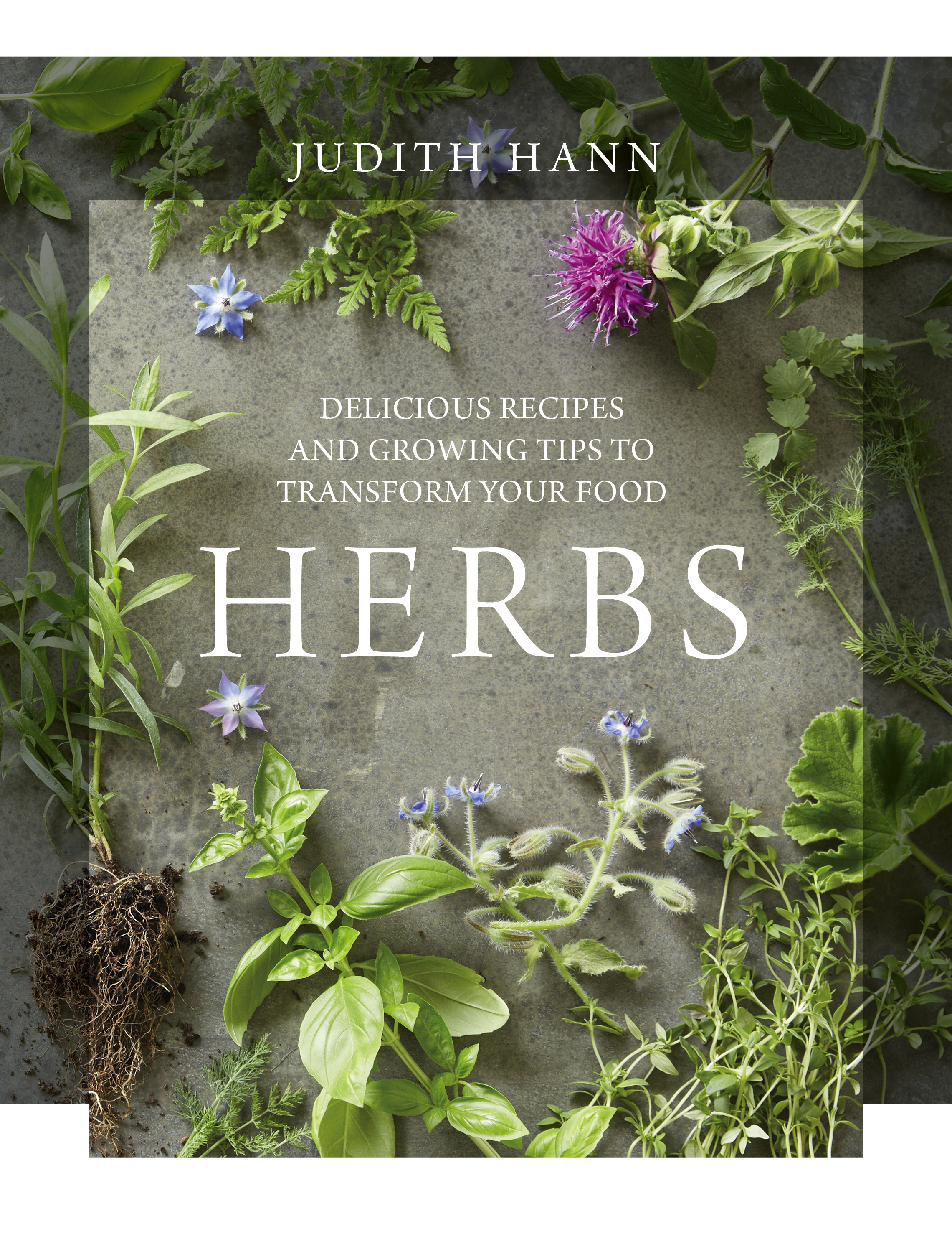 Herbs by Judith Hann (Nourish/PA)