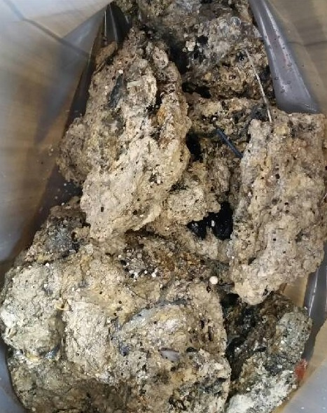 The Whitechapel fatberg