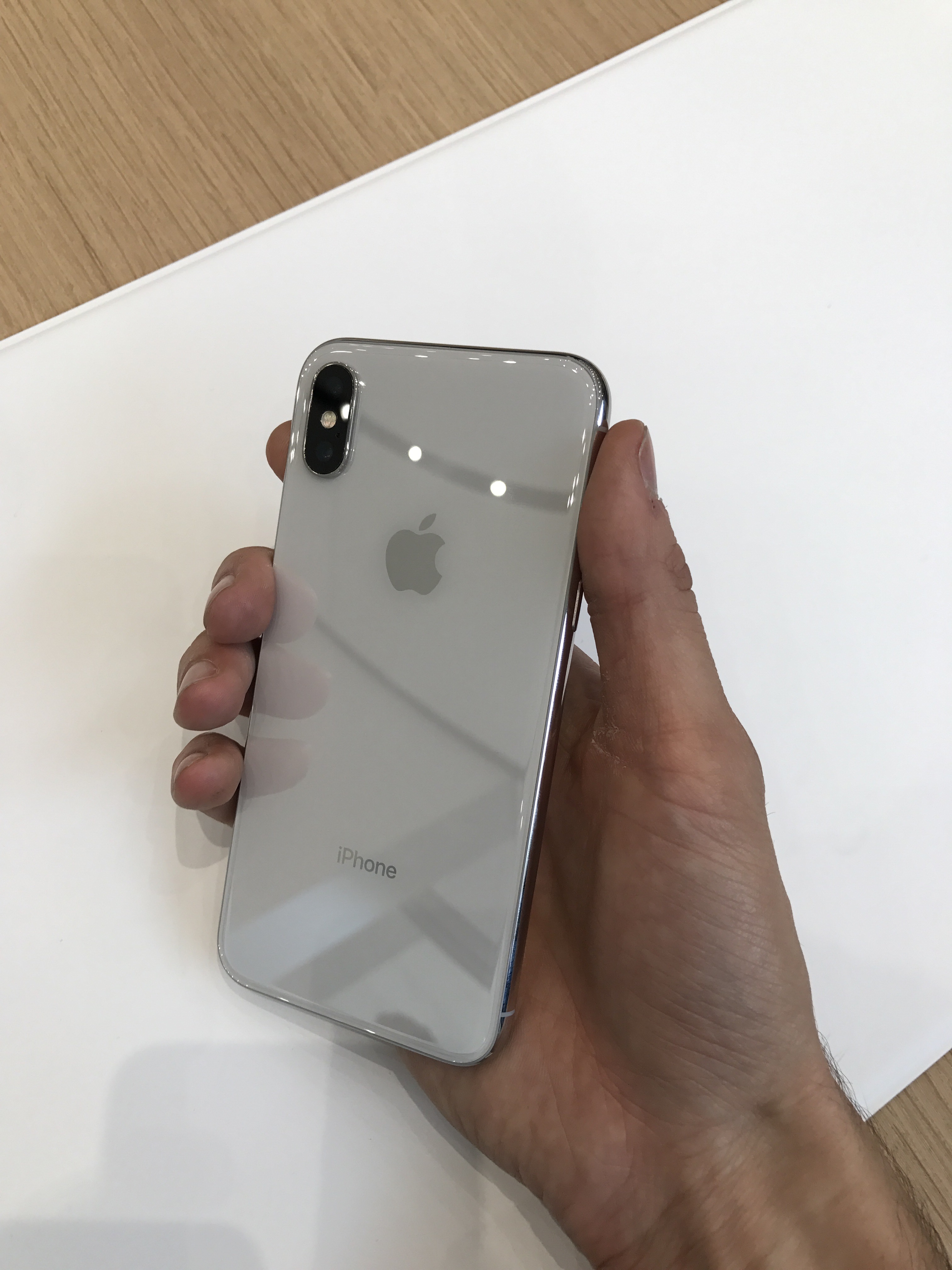 Back of the iPhone X