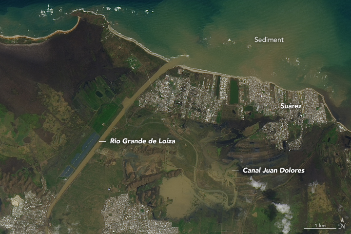 A picture of Puerto Rico on September 26, 2017 after Hurricane Maria destroyed much of the vegetation on the island and left it covered in mud and debris (Nasa Earth Observatory)