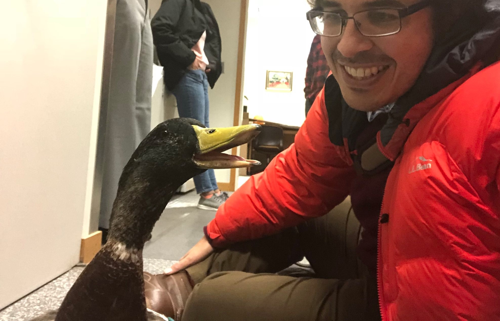 A duck at law school