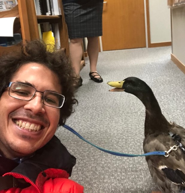 Therapy duck Webster