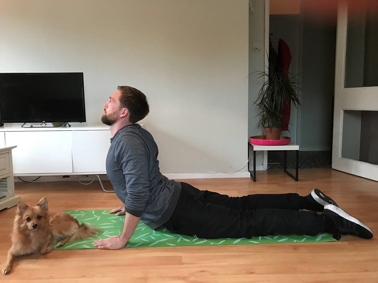 Exercises with your dog (Right Path Fitness/PA)