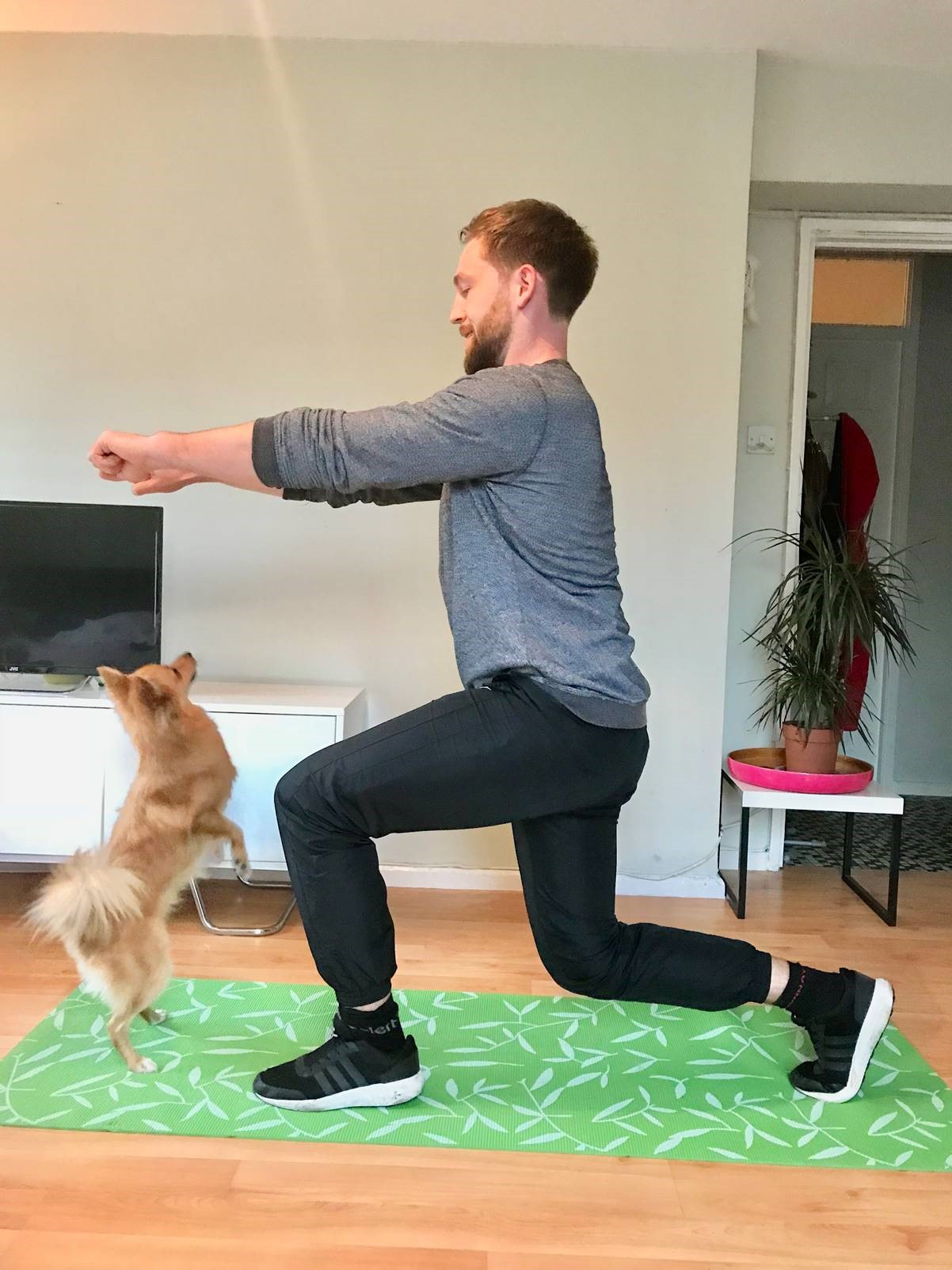 Exercises with your pet (Right Path Fitness/PA)