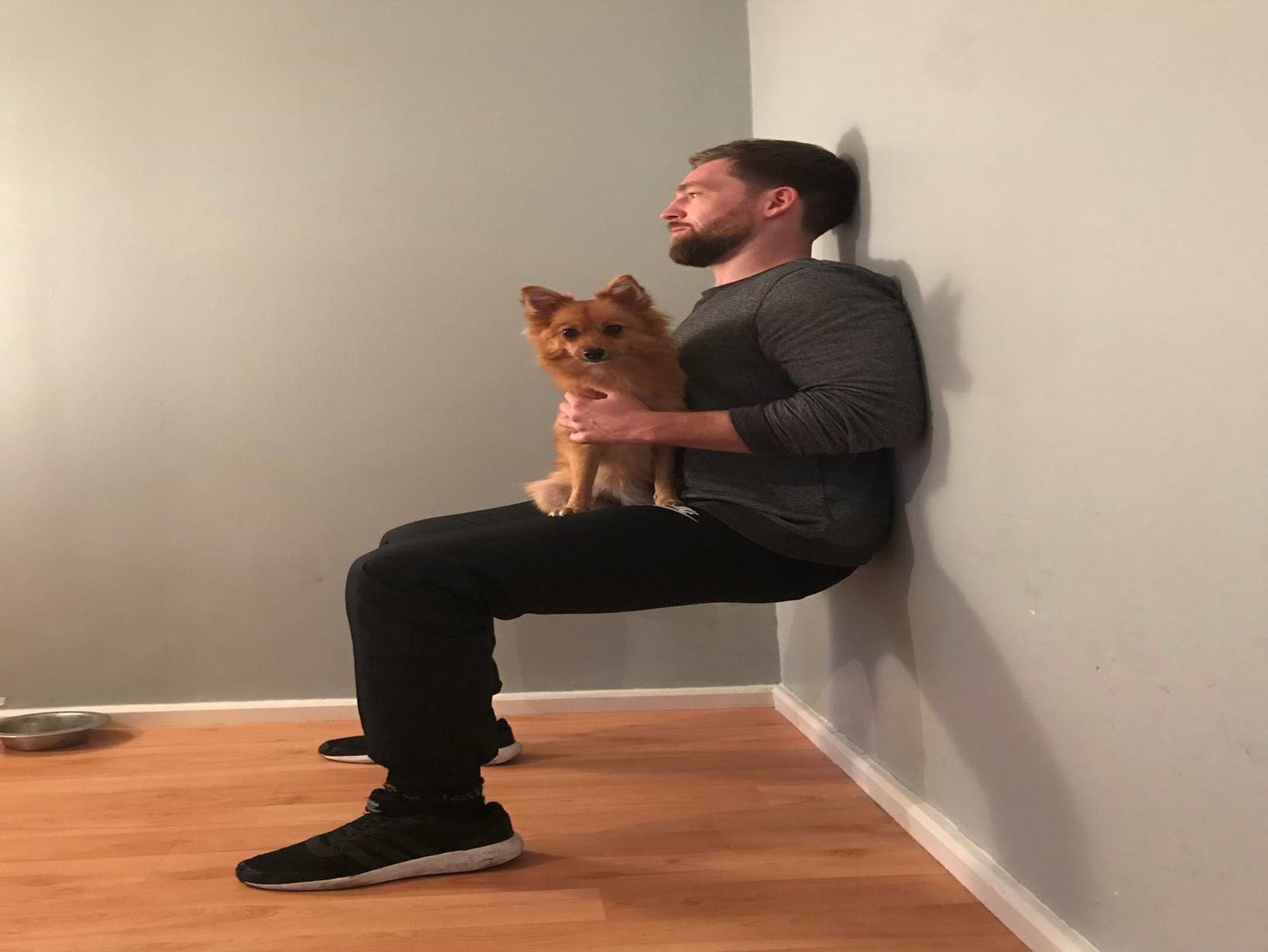 Exercises with your pet (Right Path Fitness/PA)