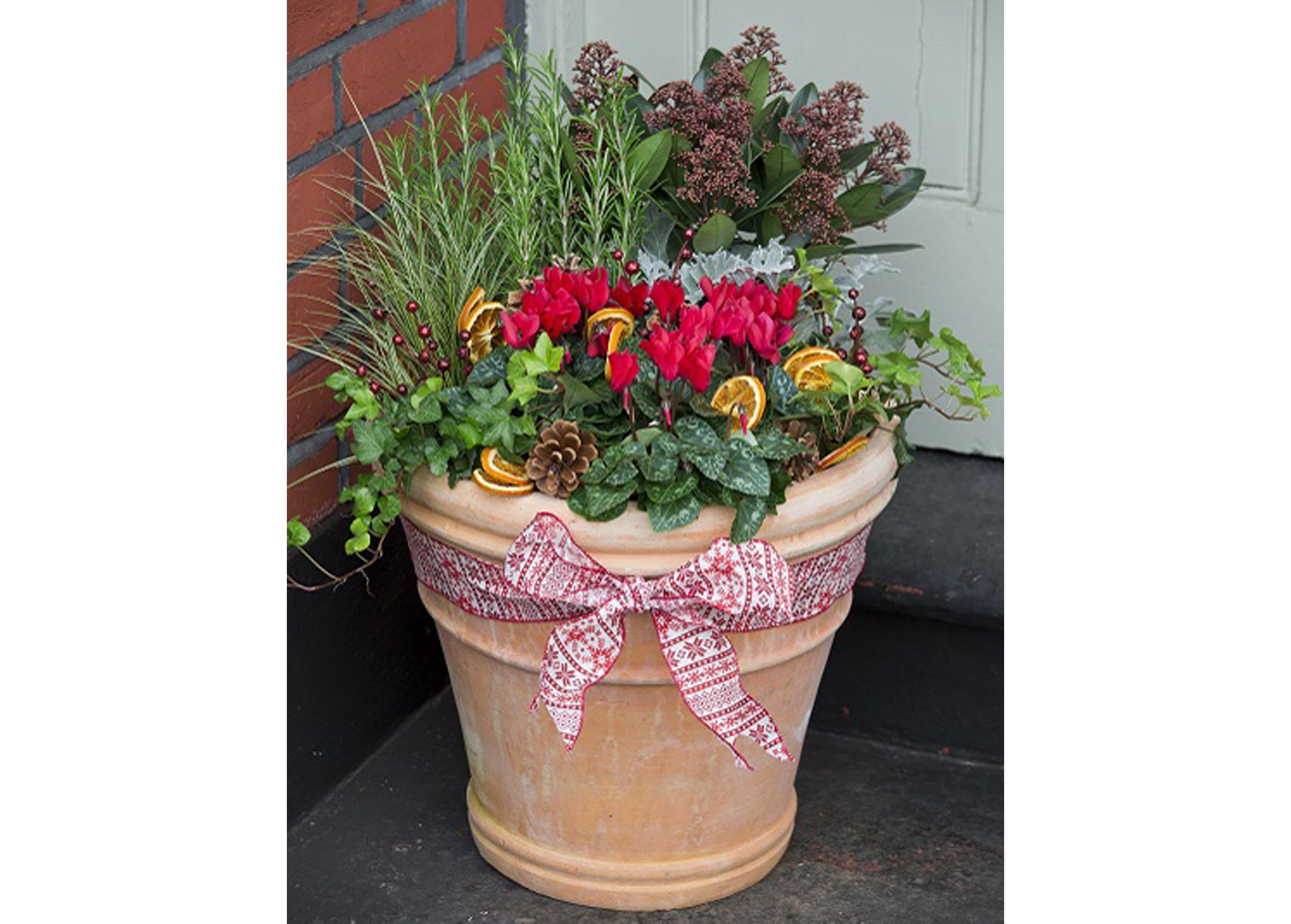 festive plant containers (Dobbie Garden Centres/PA)