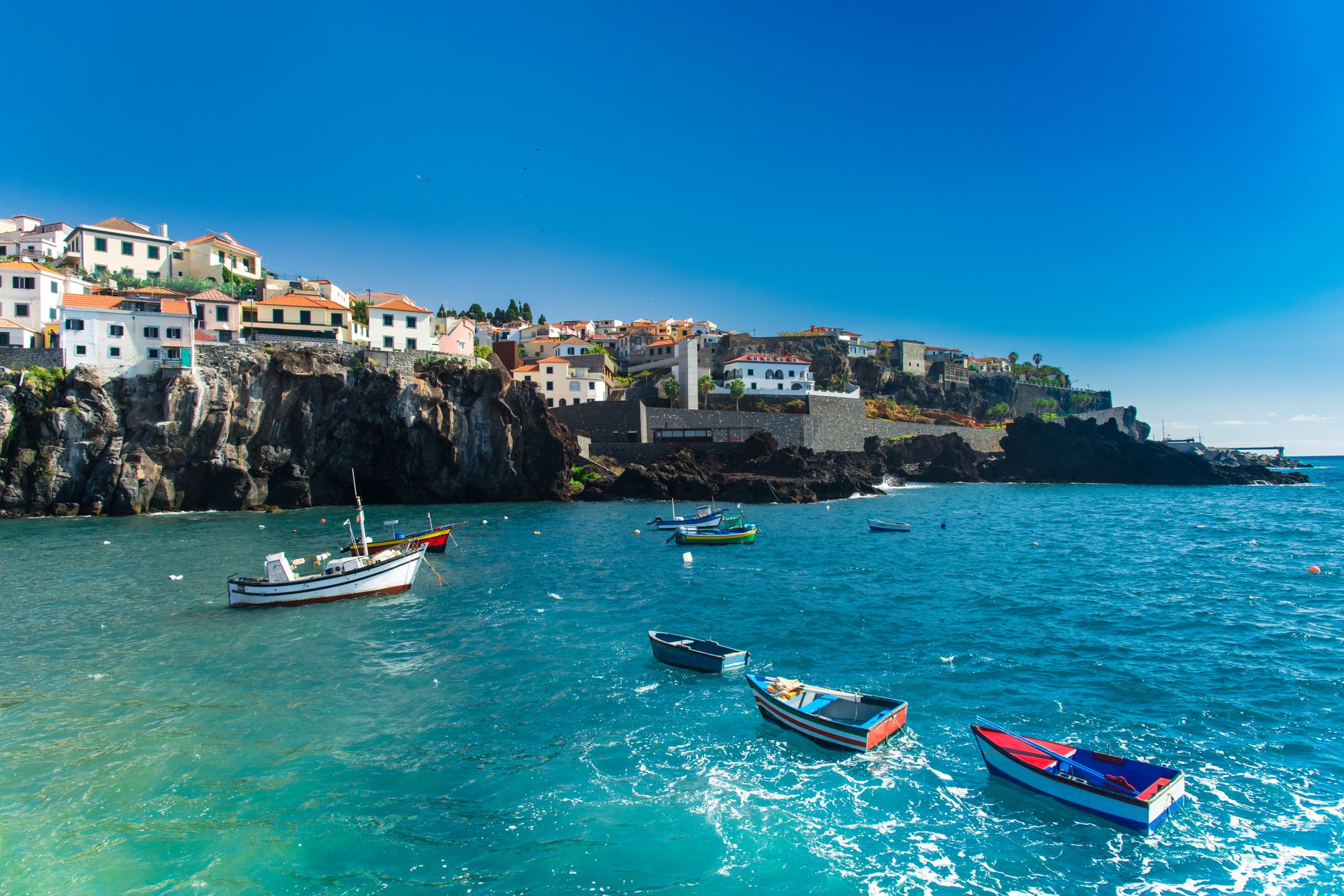 Madeira fishing boats