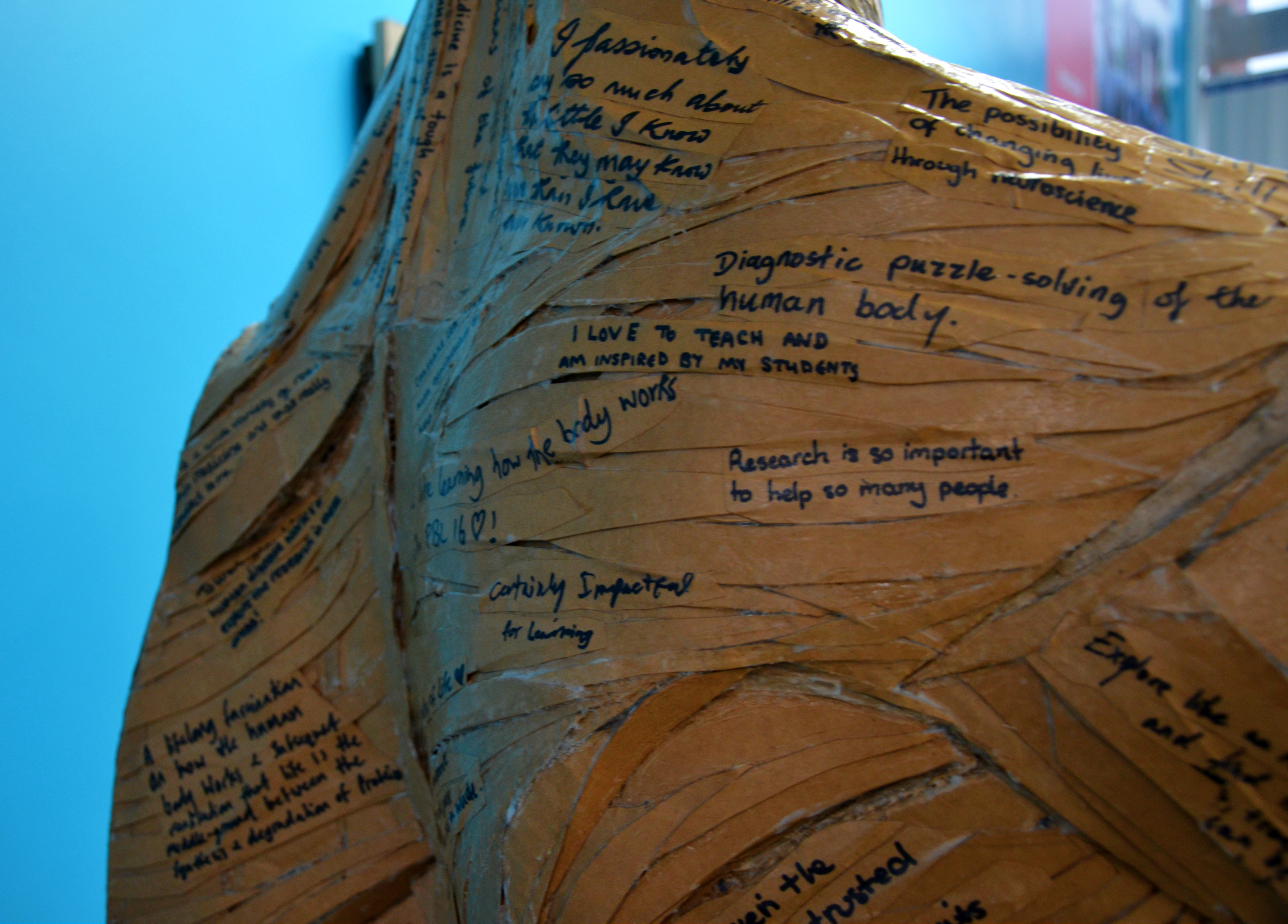 Artist James Lake worked with students from Exeter Medical School to create a stunning sculpture from cardboard (Azure Photography/PA)