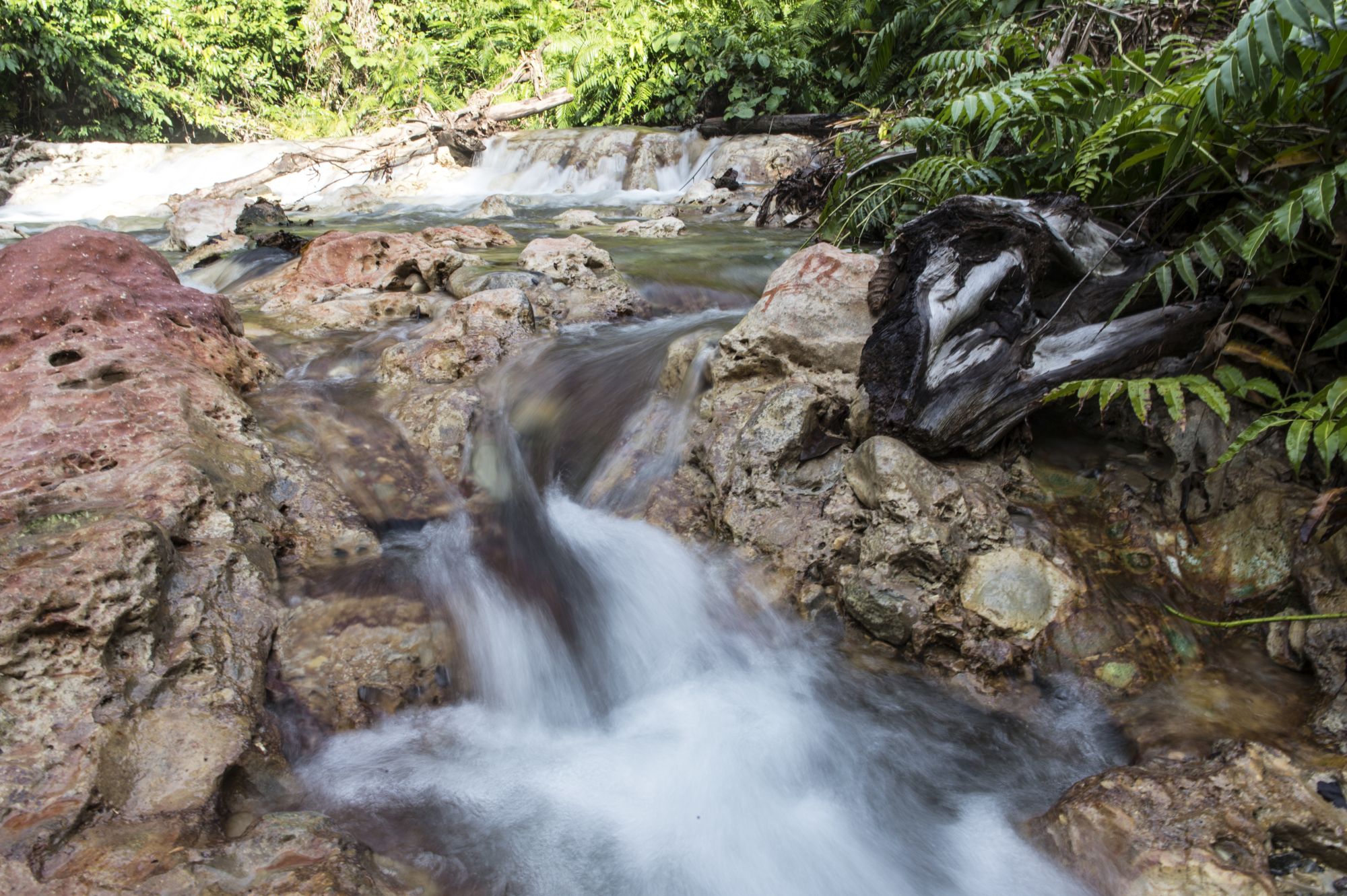 Thermal river in the Garu Wildlife Management Area (Renato Granieri/PA)