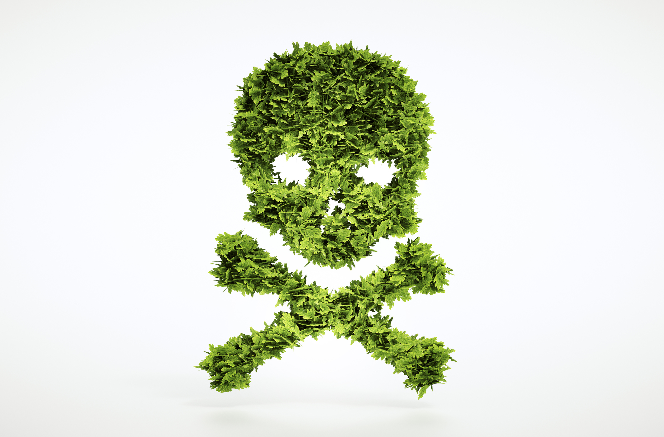 Eco skull and cross bones (Thinkstock/PA)