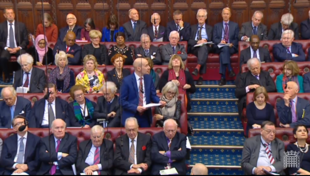 Labour peer Lord Adonis addresses the House of Lords (PA)
