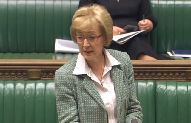 Commons Leader Andrea Leadsom addresses MPs during the debate