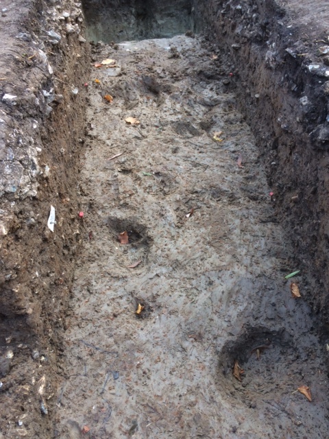 Hoofprints of aurochs found at Blick Mead excavation (Harriet Guinn-Jennings/University of Buckingham/PA)