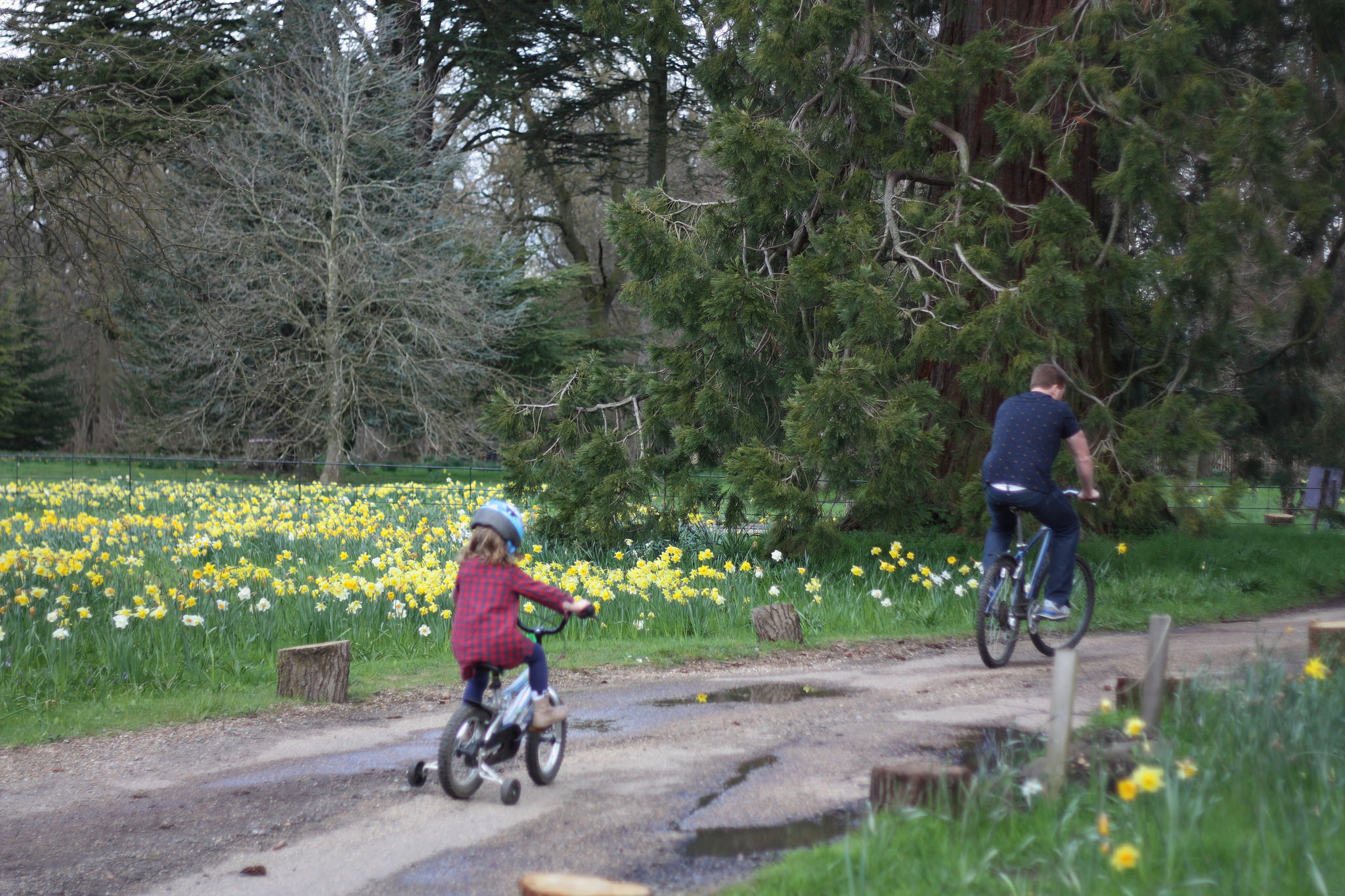 Child on a bike ride with dad