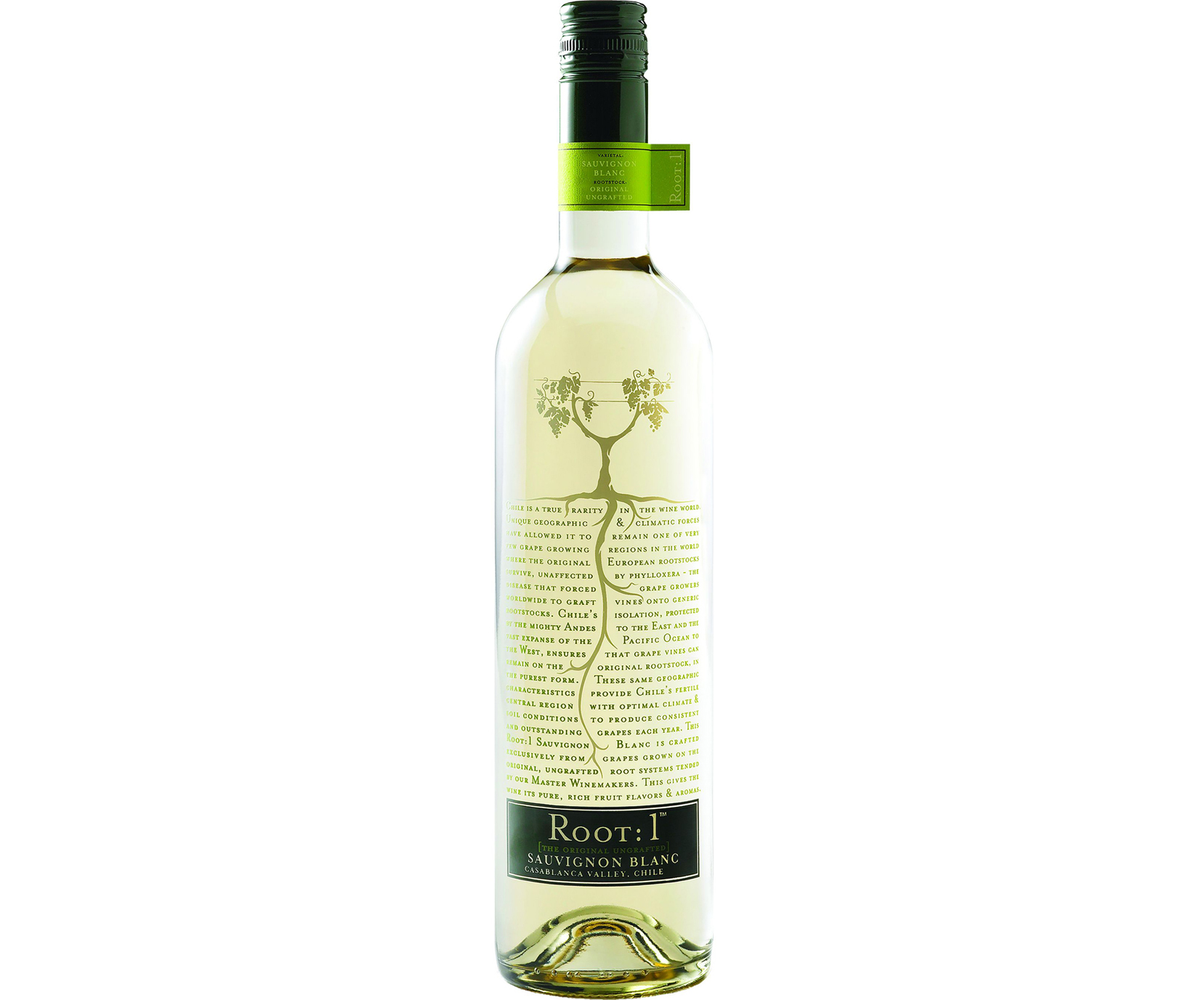 Vina Ventisquero Root 1 Sauvignon Blanc, Chile