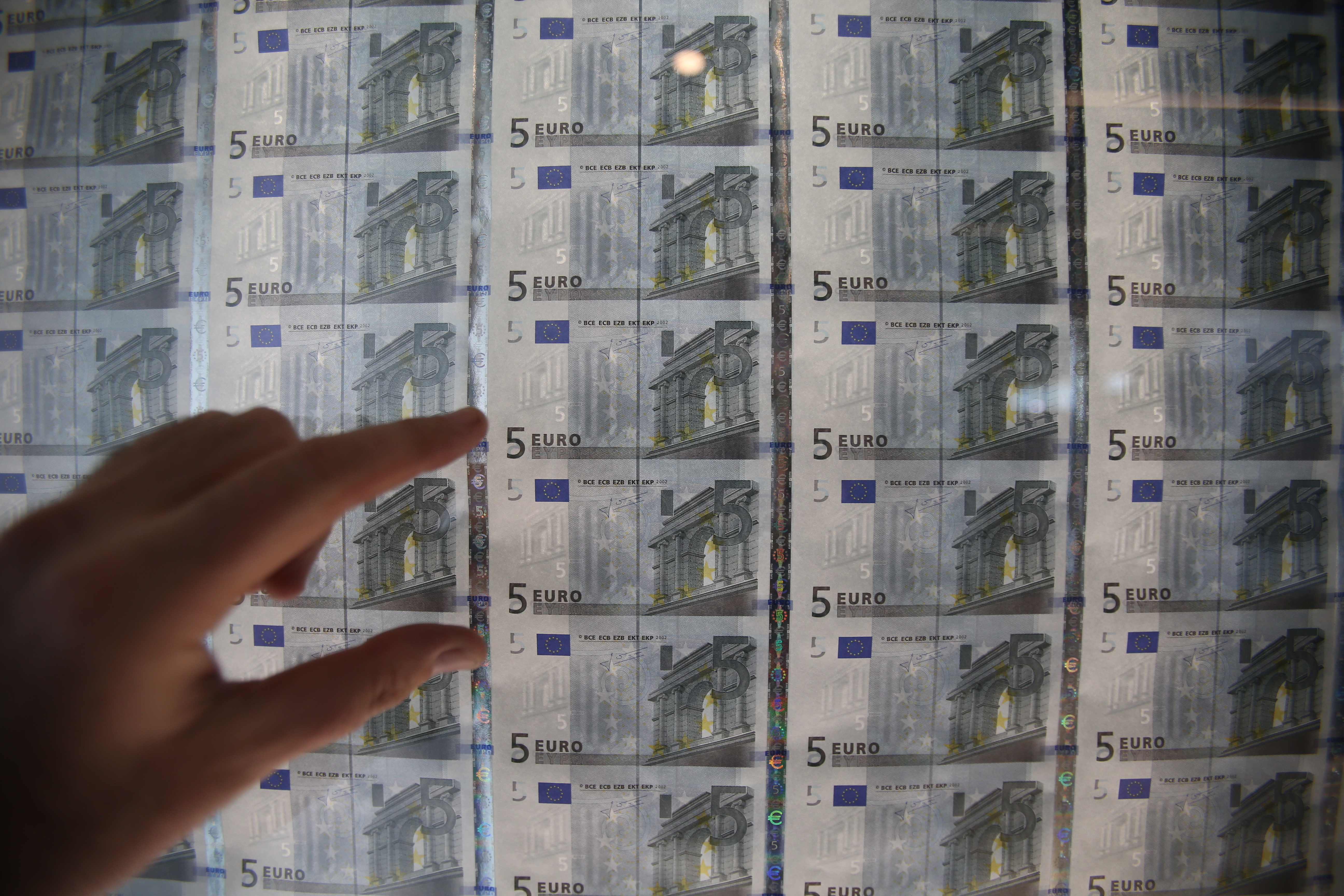 Euro notes on display