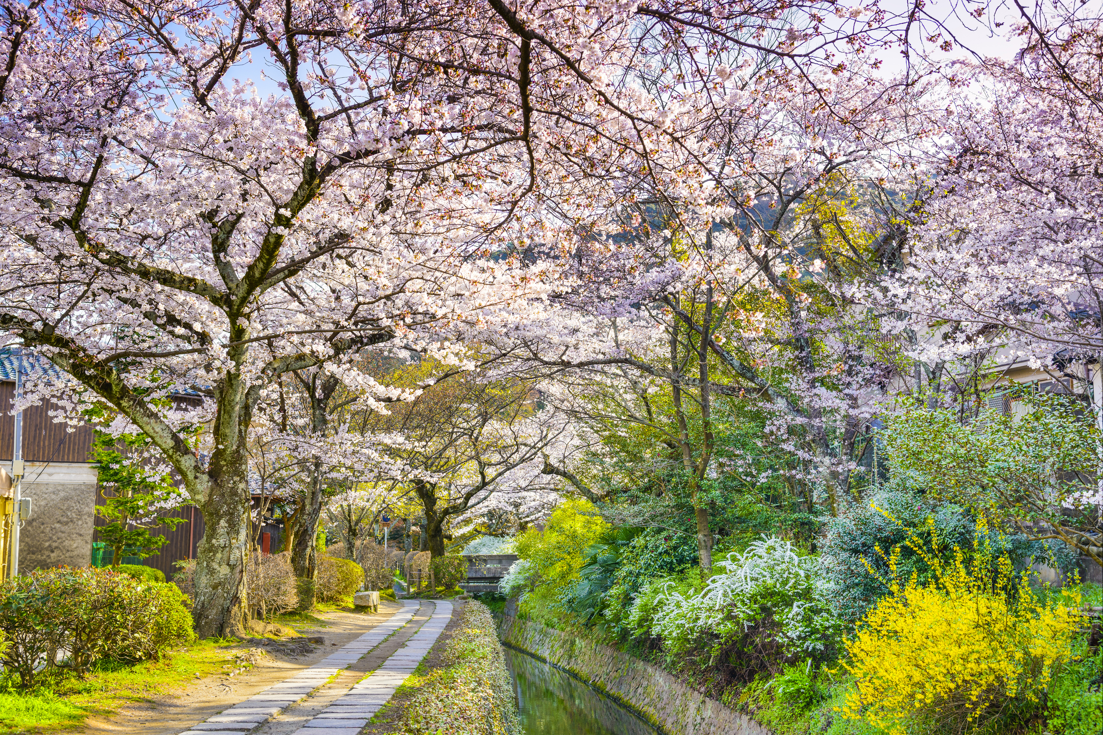 Kyoto, Japan at Philosopher's Way in the Springtime (Thinkstock/PA)