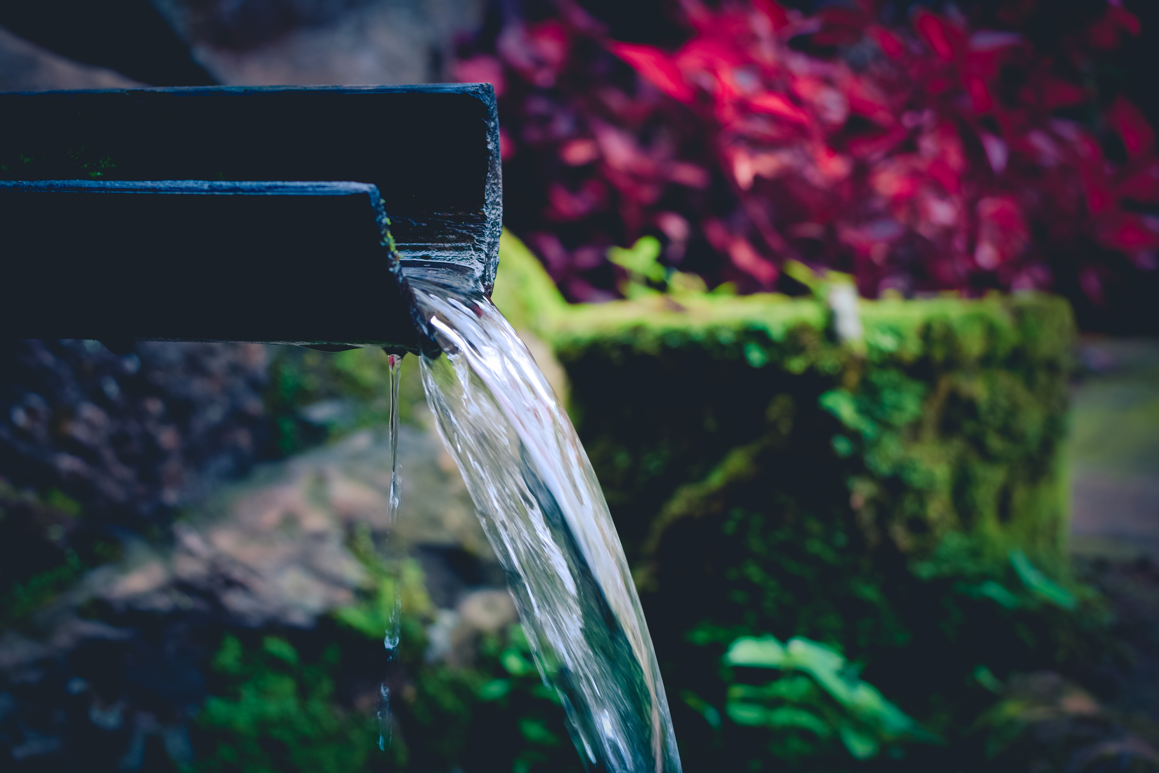 Keep ponds well oxygenated. (Thinkstock/PA)