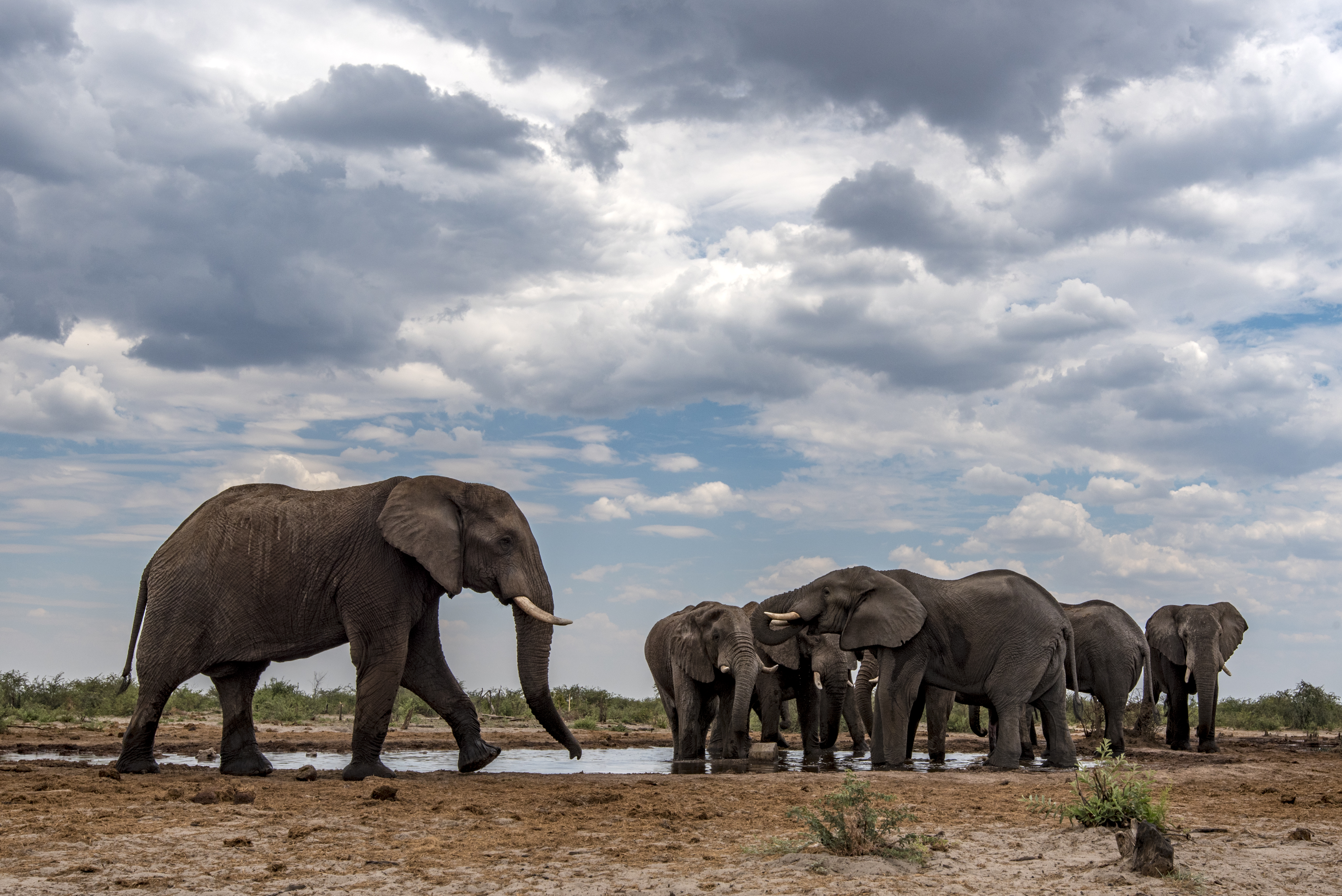 Makgadikgadi Pans National Park (Renato Granieri/PA)