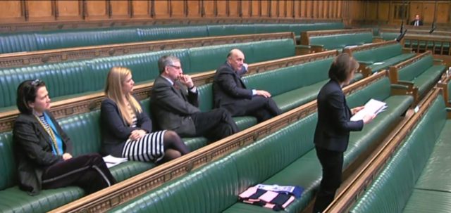 Two Dulwich Hamlet scarves were on the green benches in the Commons as Helen Hayes led a debate about the club's future