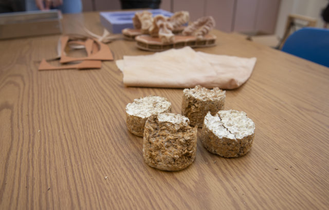 Mushroom Shoes.