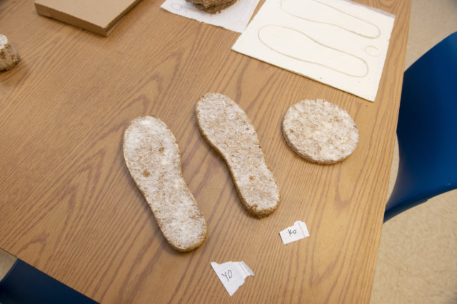 Mushroom Shoes.