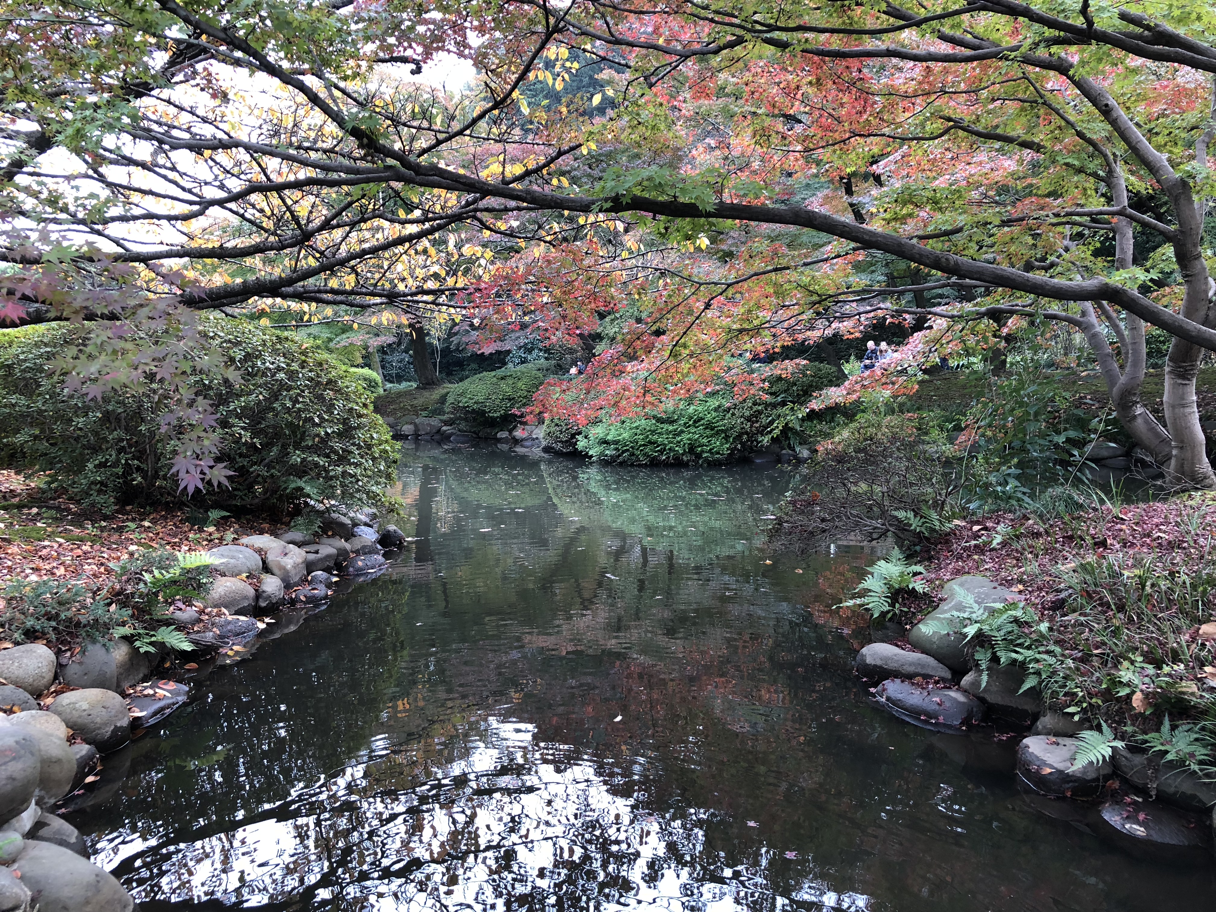Autumn leaves at Shinjuku Gyoen National Garden (Damon Smith/PA)