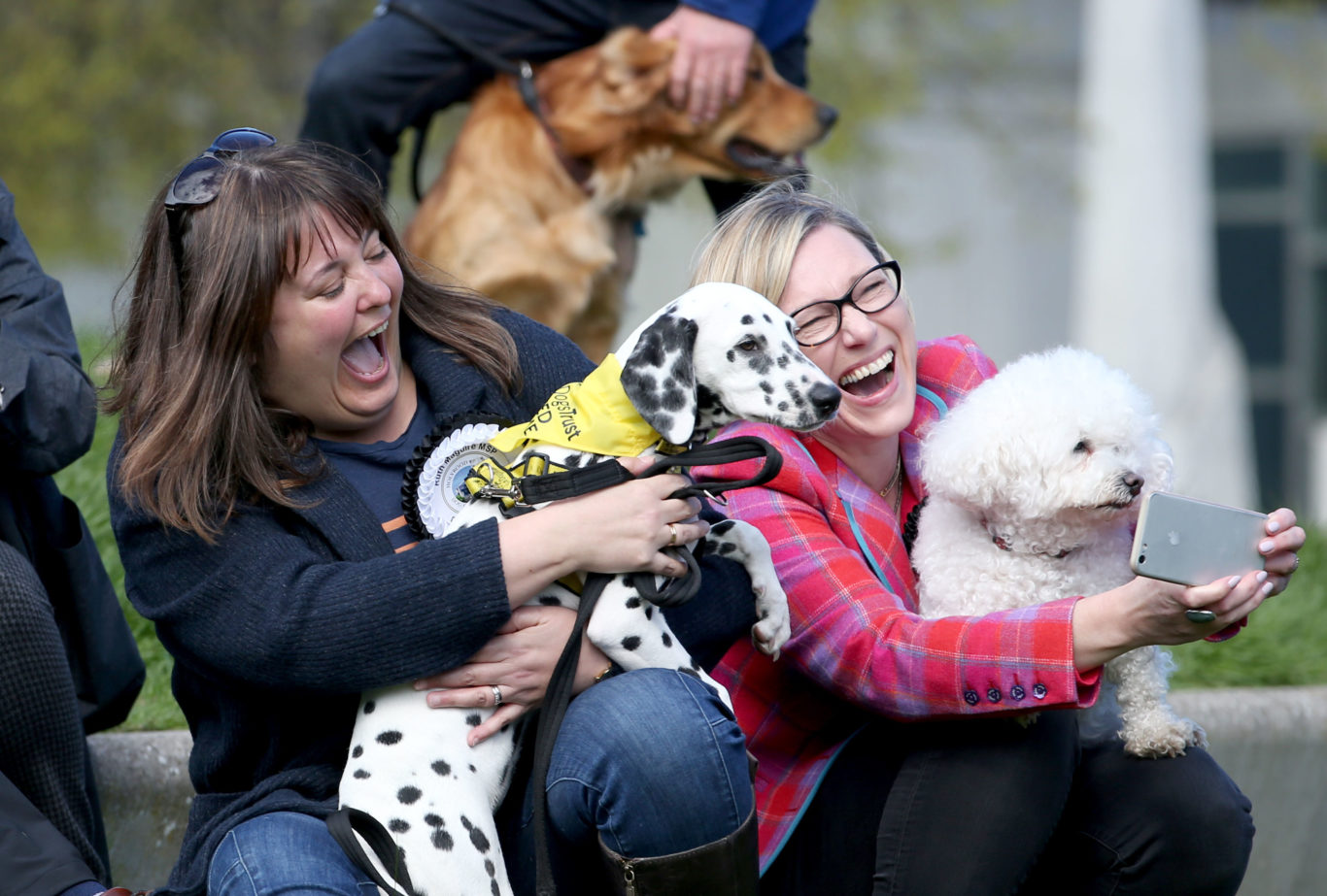 Politicians Ruth Maguire (left) with Harley the dog and Gillian Martin with her dog Lucy take a selfie (Jane Barlow/PA)