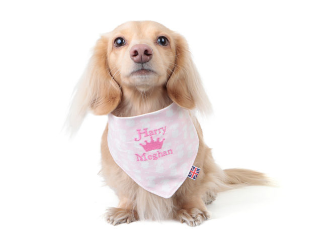 A dog neckerchief celebrating the royal wedding (Teddy Maximus/PA)
