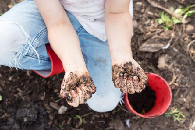 Muddy hands