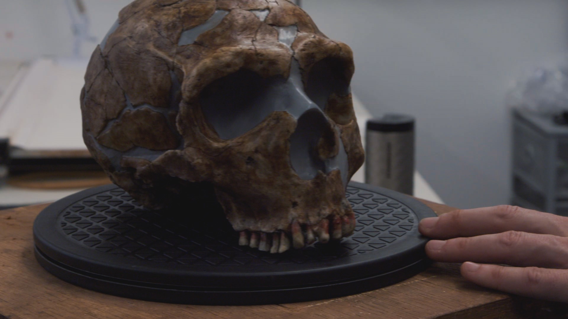 Ned's skull (Andy Serkis helping to create a CGI Neanderthal (Andy Serkis (VixPix/BBC/Natural History Museum) 