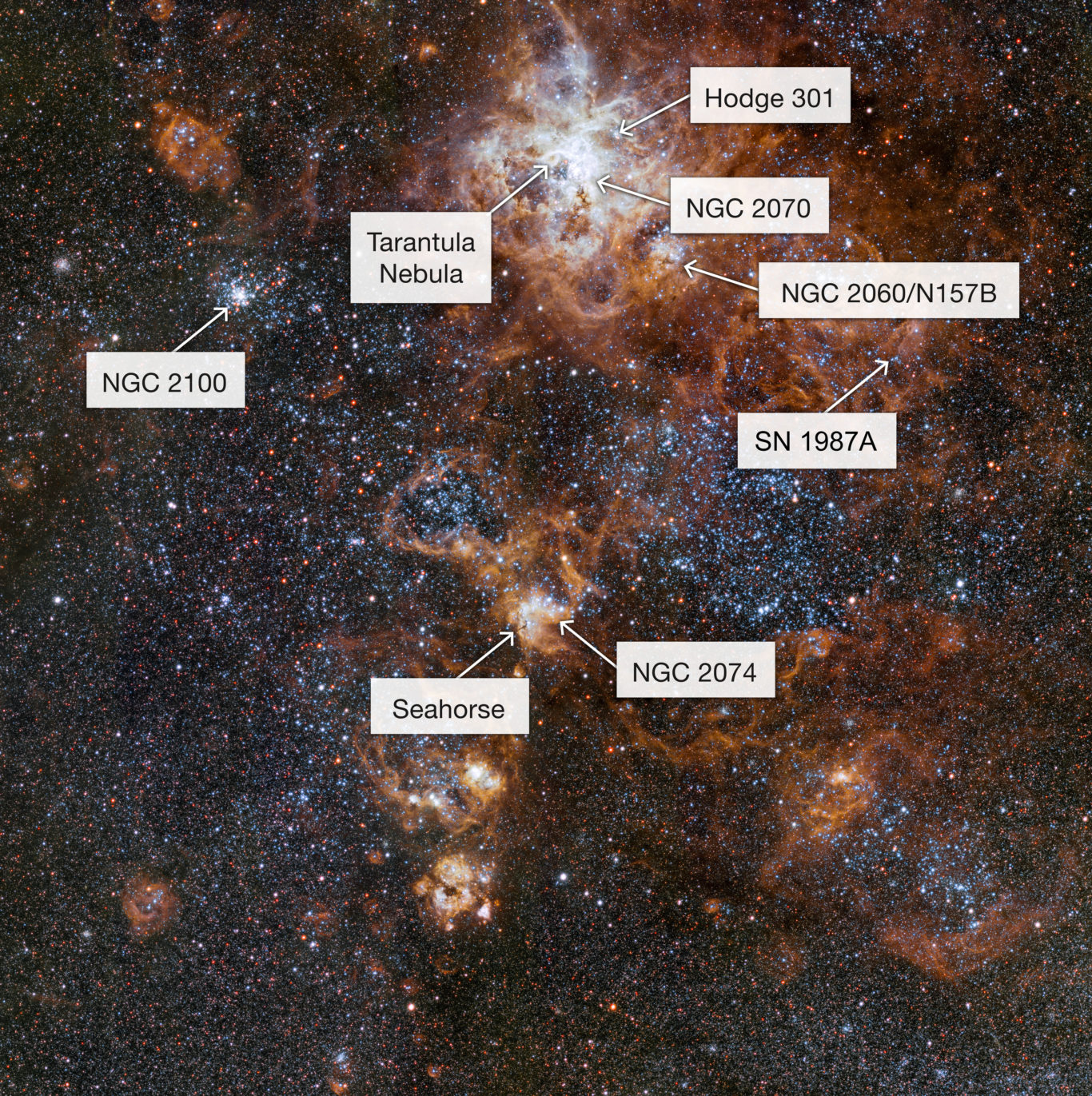 ESOs Spectacular Image Shows The Tarantula Nebula In Incredible Detail