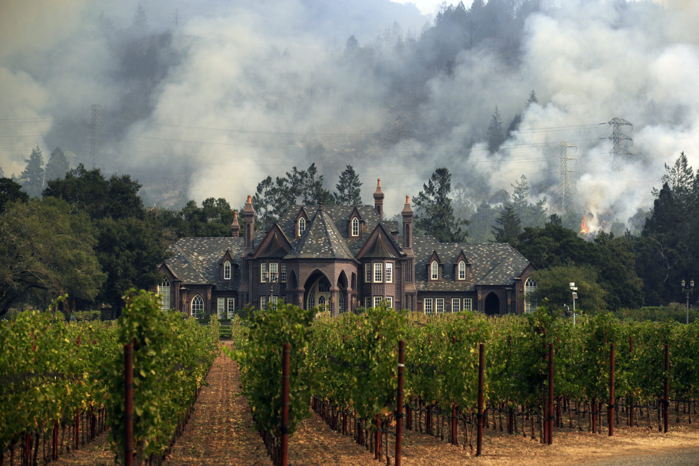 A wildfire burns behind a winery in Santa Rosa, California (Jae C Hong/AP)
