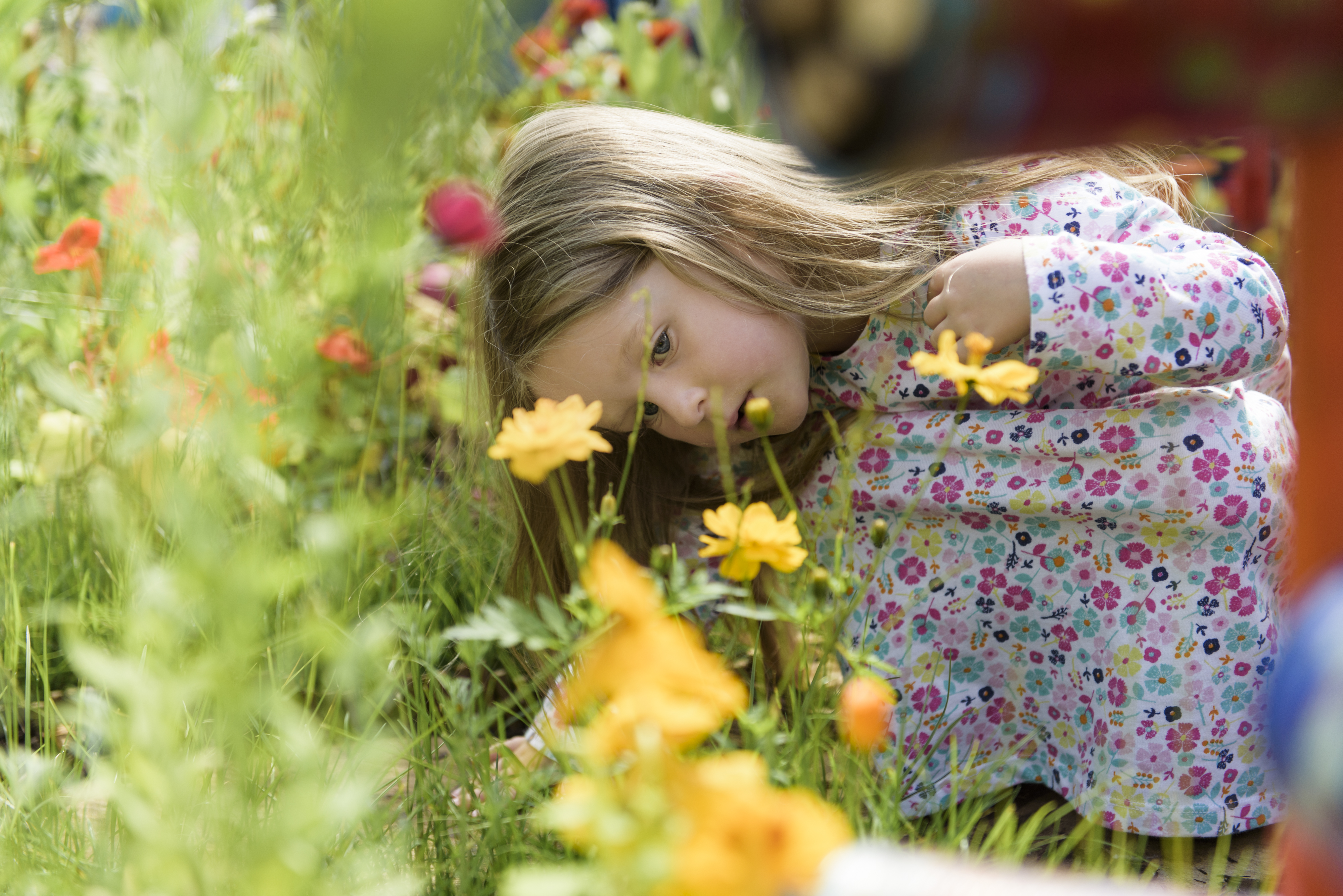 Children can become engaged with wildlife on nature reserves (Georgi Mabee/RHS/PA)