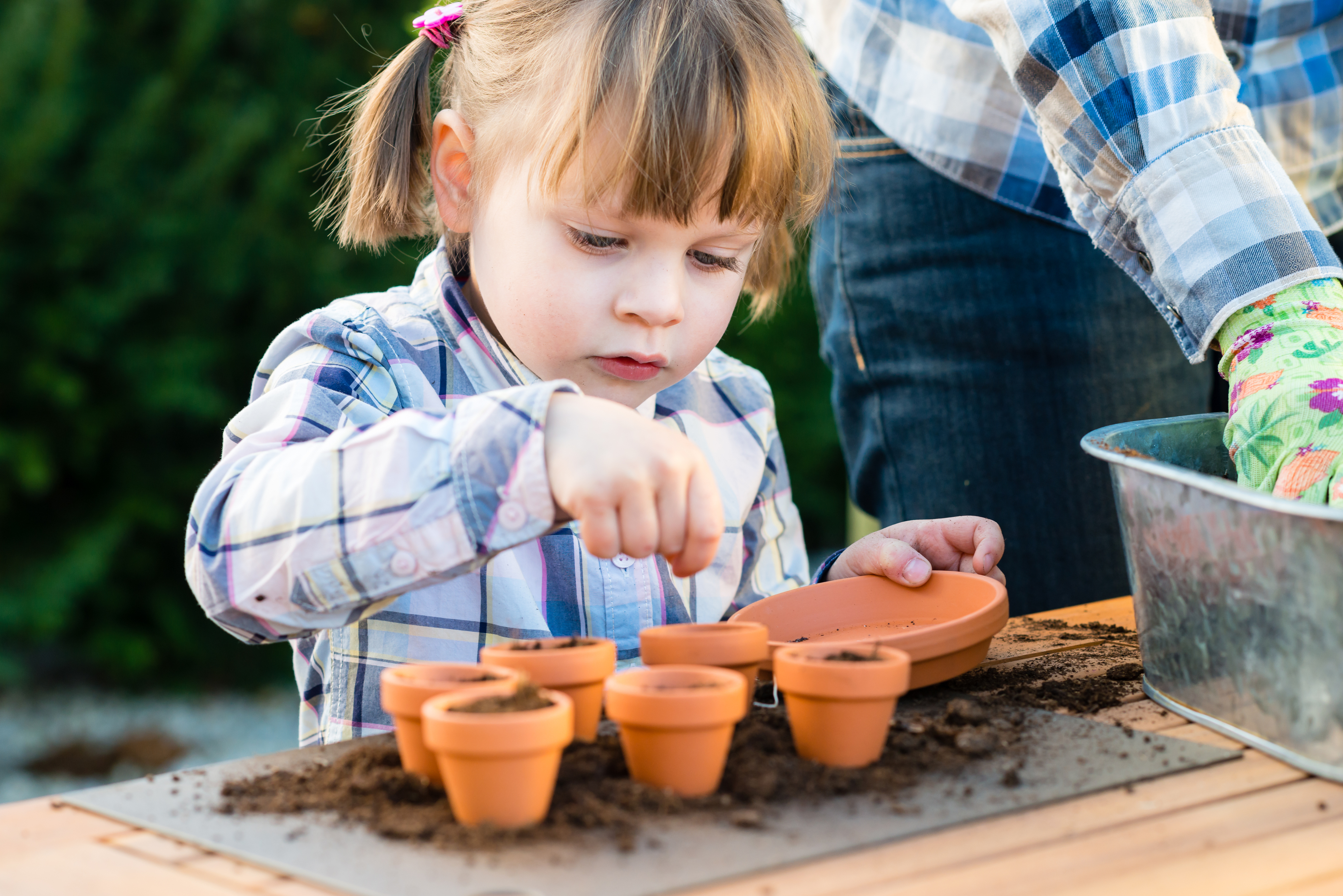 Get them growing (Thinkstock/PA)