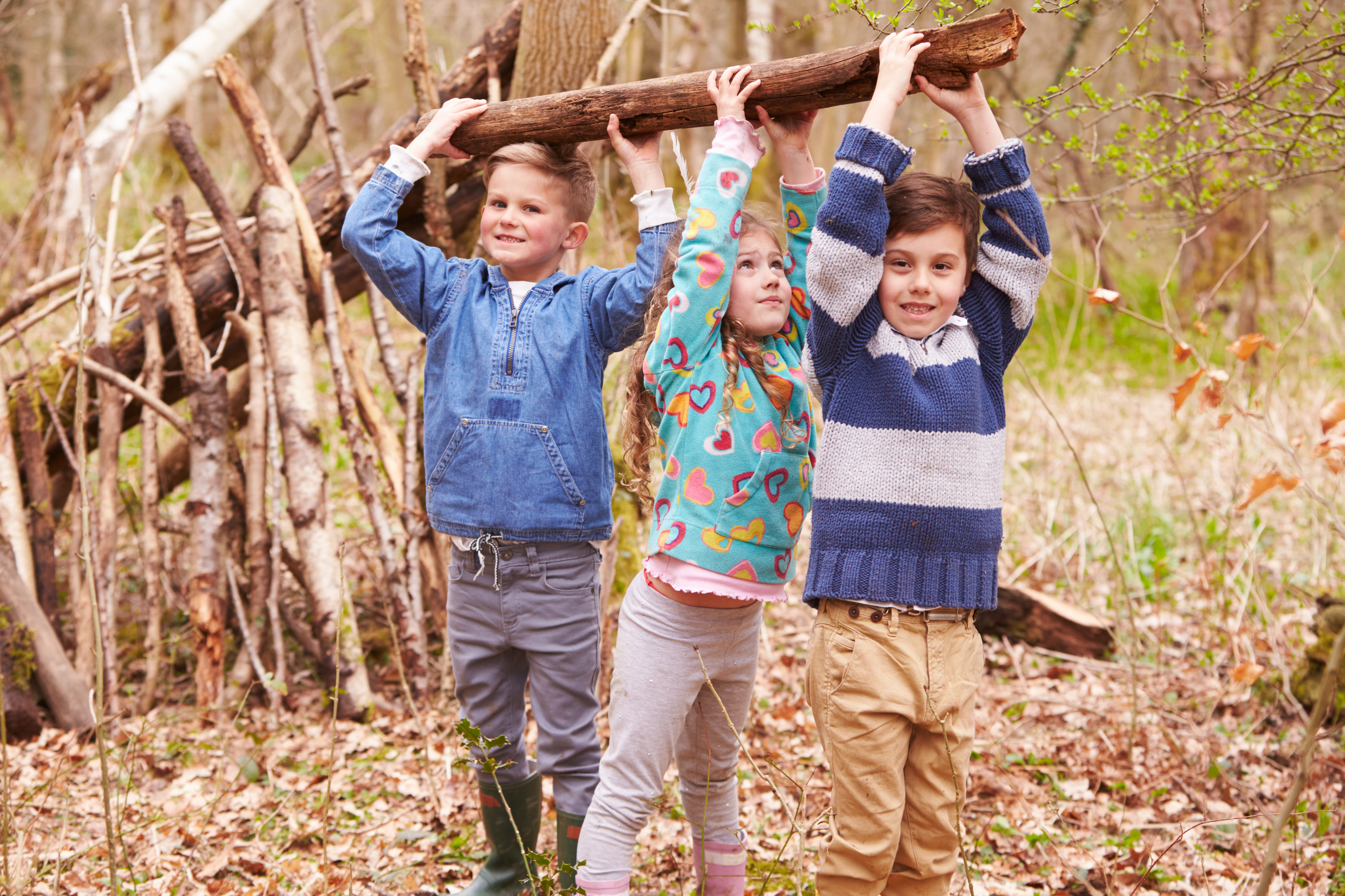 Let them make their own den (Thinkstock/PA)